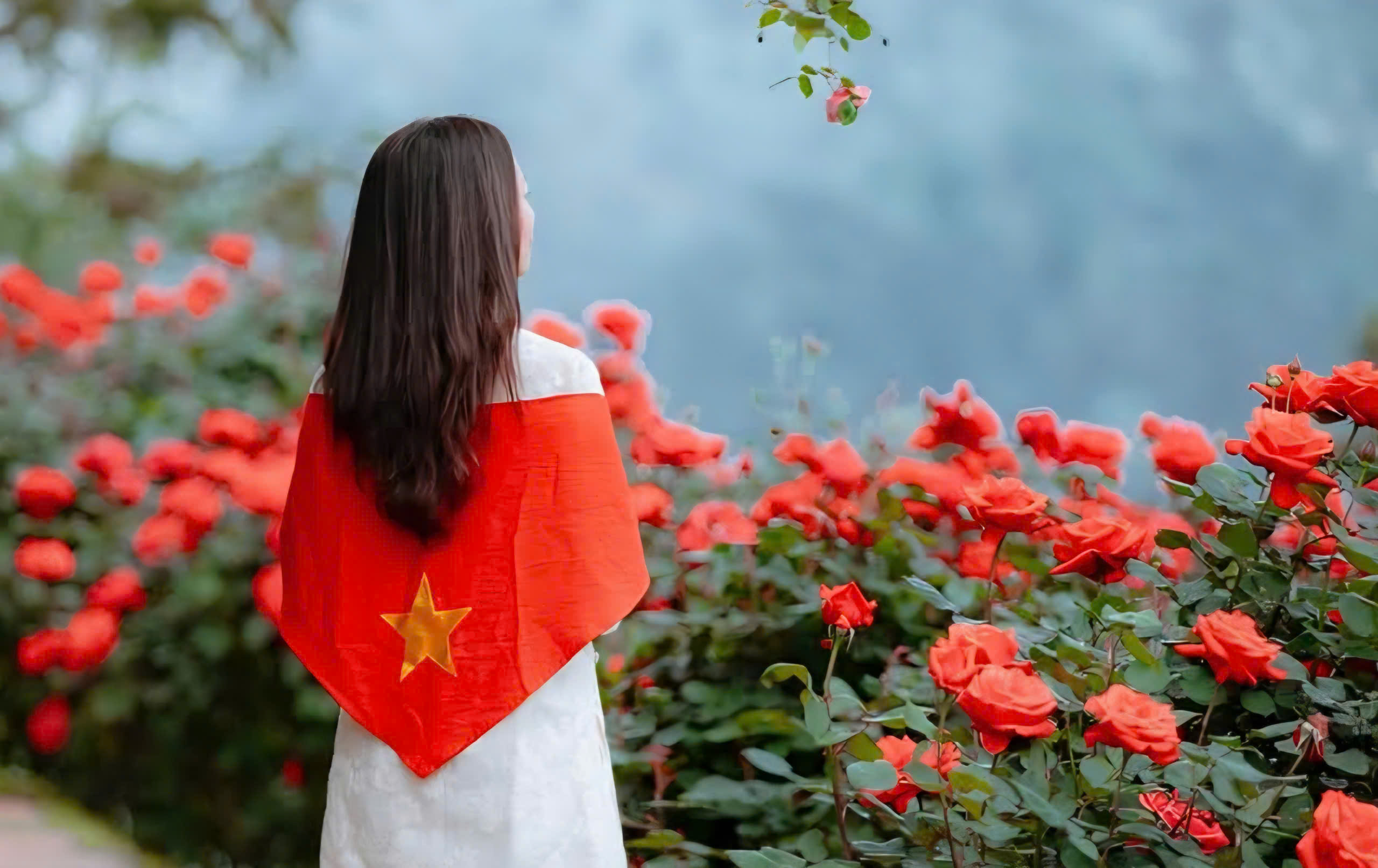 Sa Pa rực rỡ sắc hoa, nhộn nhịp đ&oacute;n h&agrave;ng chục ngh&igrave;n du kh&aacute;ch- Ảnh 10.