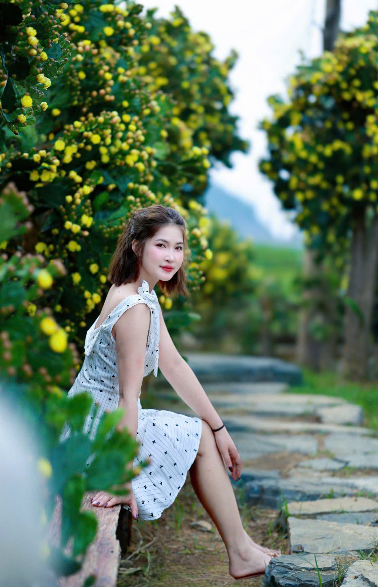 Độc đ&aacute;o vườn xương rồng cổ thụ hoa v&agrave;ng rực rỡ "h&uacute;t" giới trẻ đến Mộc Ch&acirc;u- Ảnh 6.