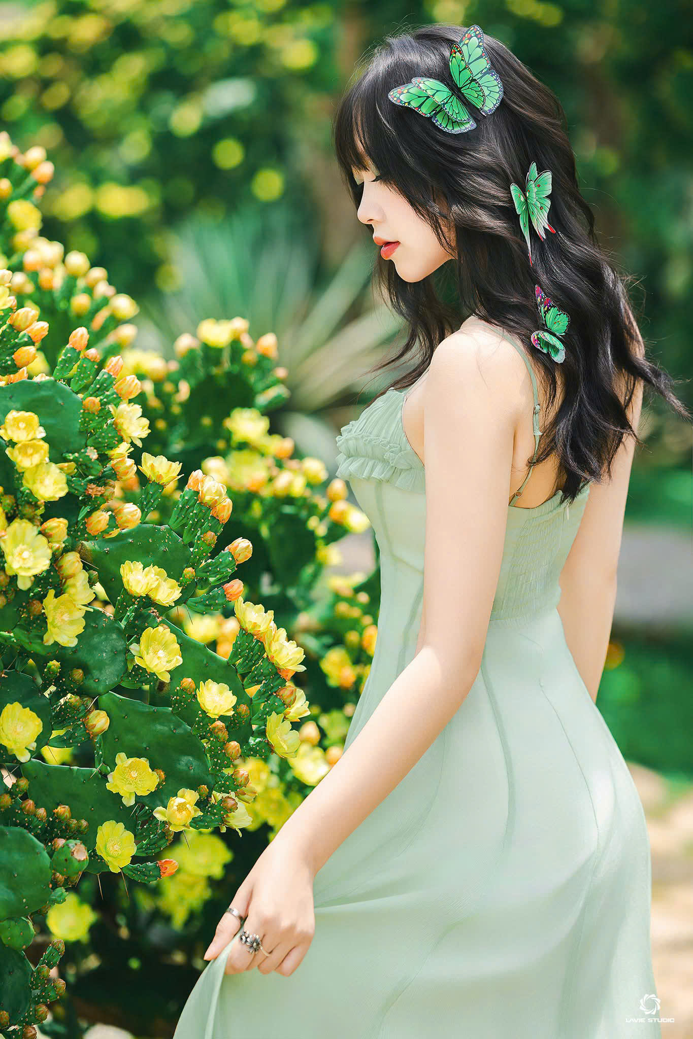 Độc đ&aacute;o vườn xương rồng cổ thụ hoa v&agrave;ng rực rỡ "h&uacute;t" giới trẻ đến Mộc Ch&acirc;u- Ảnh 11.