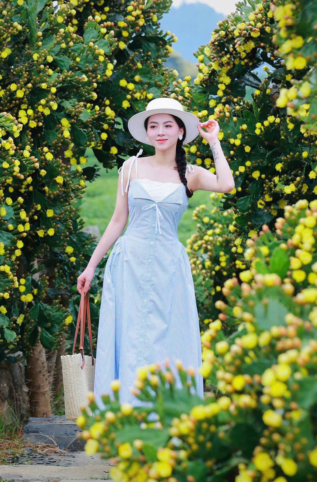 Độc đ&aacute;o vườn xương rồng cổ thụ hoa v&agrave;ng rực rỡ "h&uacute;t" giới trẻ đến Mộc Ch&acirc;u- Ảnh 4.