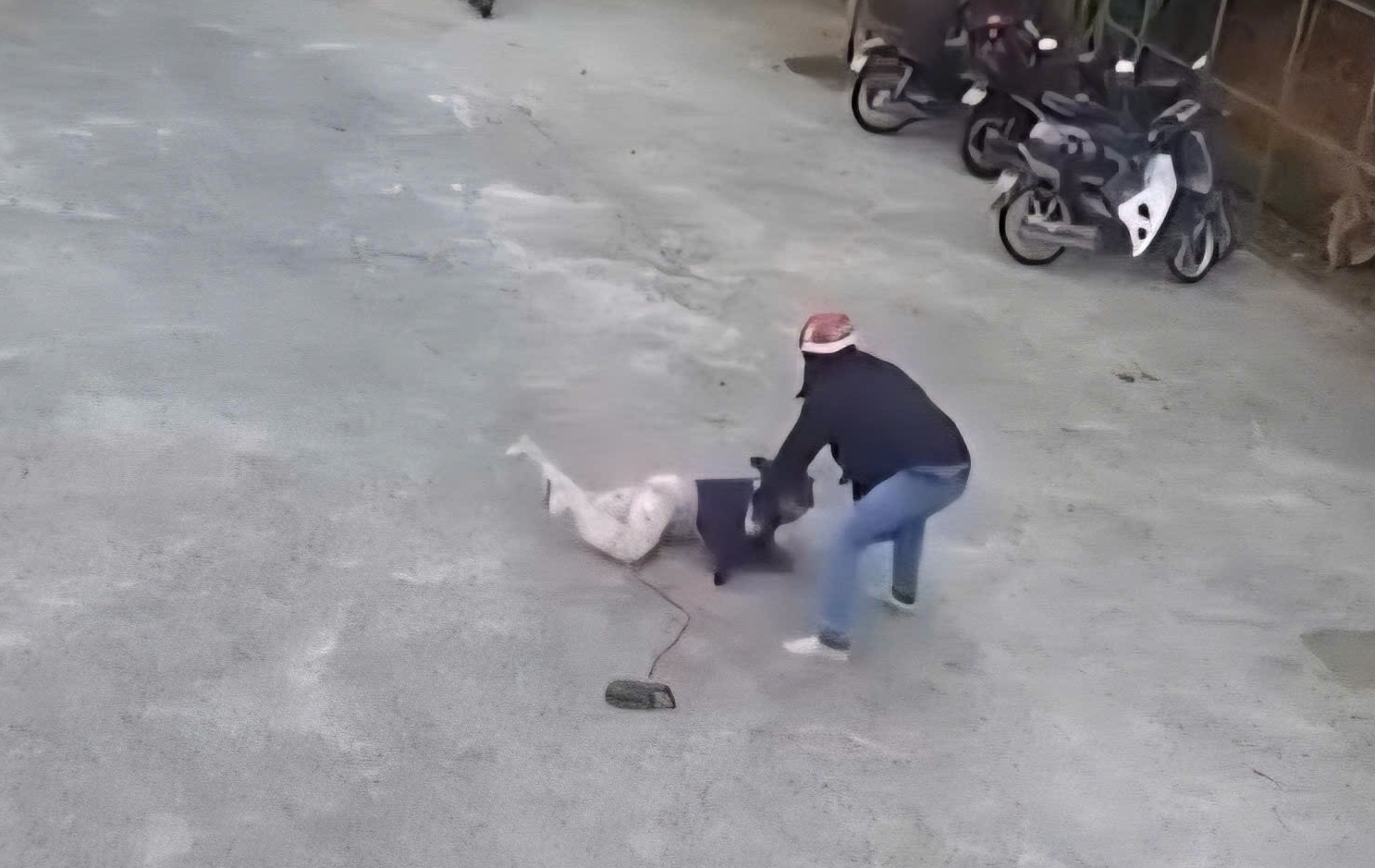 Truy t&igrave;m kẻ đội t&oacute;c giả ch&iacute;ch điện người phụ nữ cạnh s&acirc;n b&oacute;ng ở Ph&uacute; Quốc- Ảnh 1.