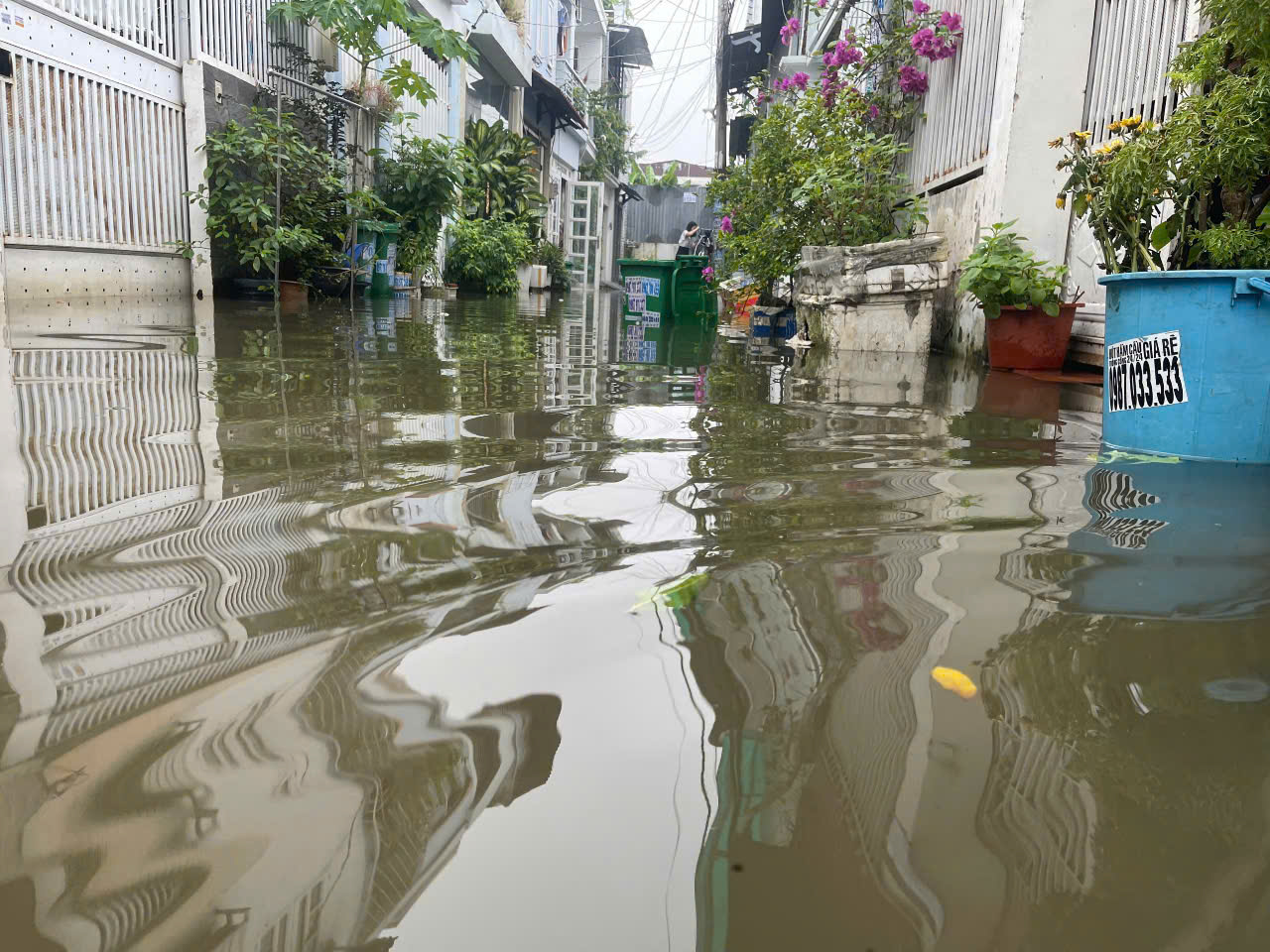 Nh&agrave; ngập nhiều ng&agrave;y sau cơn mưa lớn nhất 8 năm, người d&acirc;n Thủ Đức ng&aacute;n ngẩm- Ảnh 1.