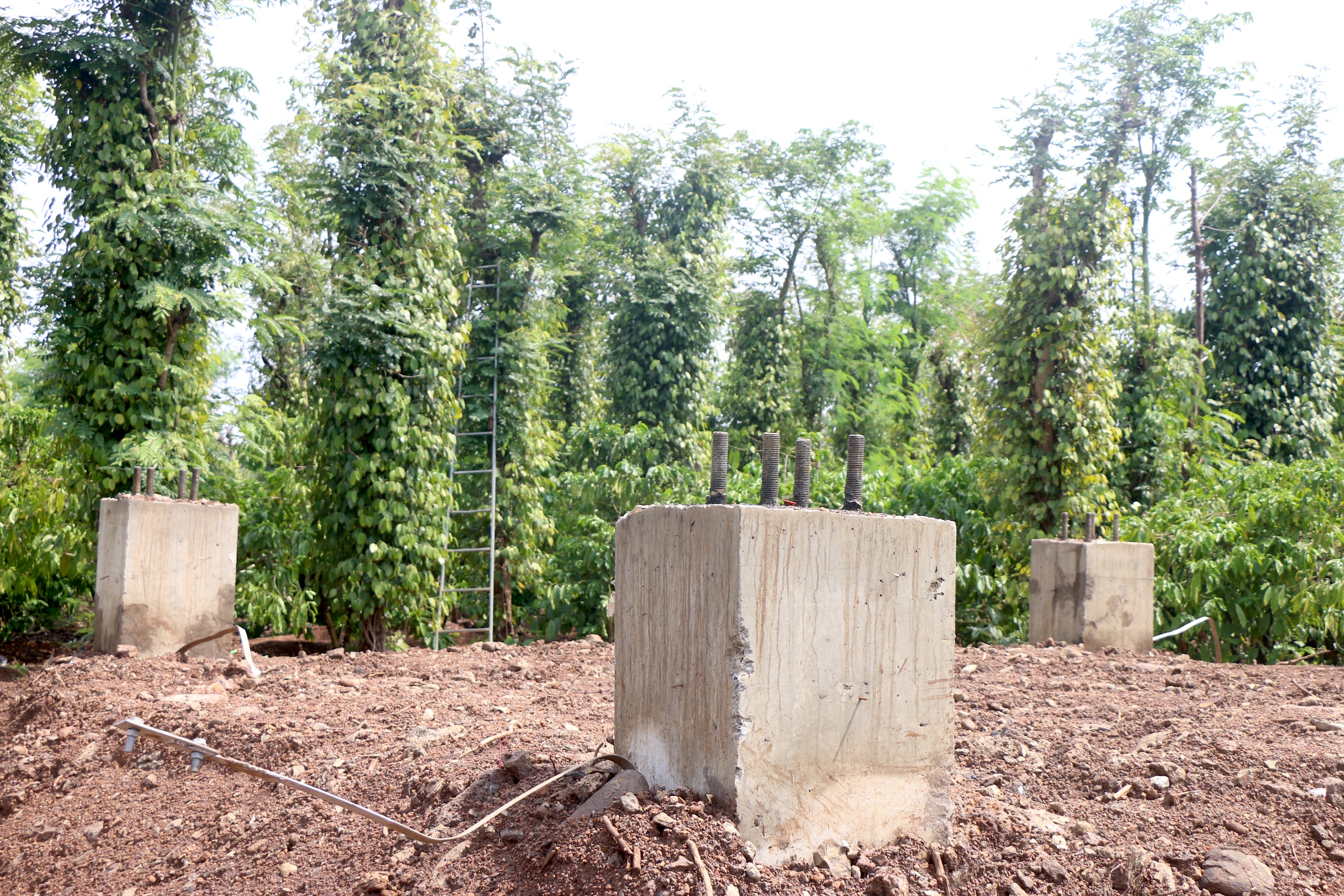 Th&aacute;o dỡ trụ điện cao thế, b&agrave;n giao mặt bằng tuyến tr&aacute;nh 1.800 tỷ đồng- Ảnh 9.