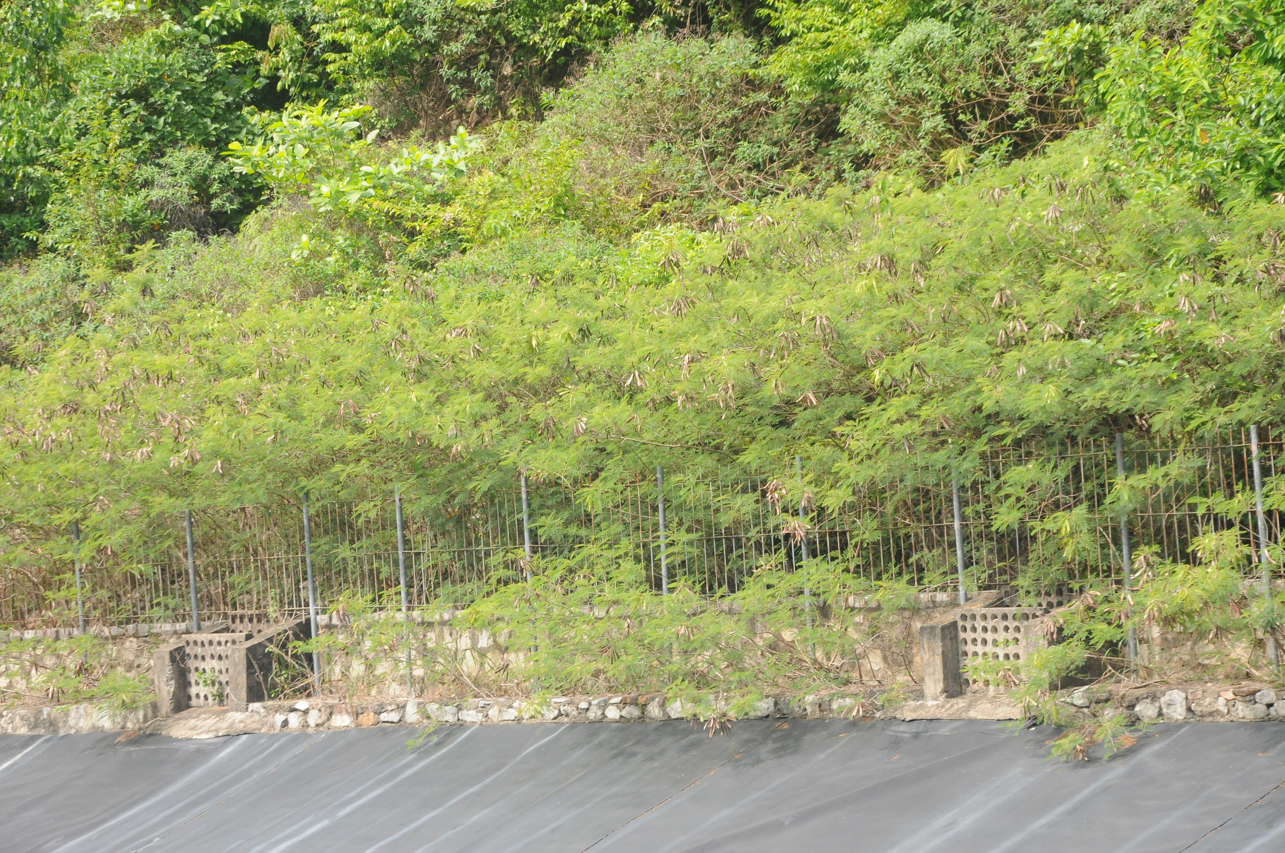 B&iacute; thư Ki&ecirc;n Giang y&ecirc;u cầu l&agrave;m r&otilde; nguy&ecirc;n nh&acirc;n hồ chứa nước ngọt kh&ocirc;ng c&oacute; nước ở x&atilde; đảo- Ảnh 3.