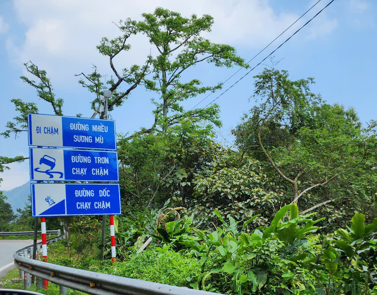 Vĩnh Phúc: Đồng loạt nhiều giải pháp sau liên tiếp tai nạn trên đường đèo Tam Đảo- Ảnh 3. Vĩnh Phúc: Đồng loạt nhiều giải pháp sau liên tiếp tai nạn trên đường đèo Tam Đảo- Ảnh 3.