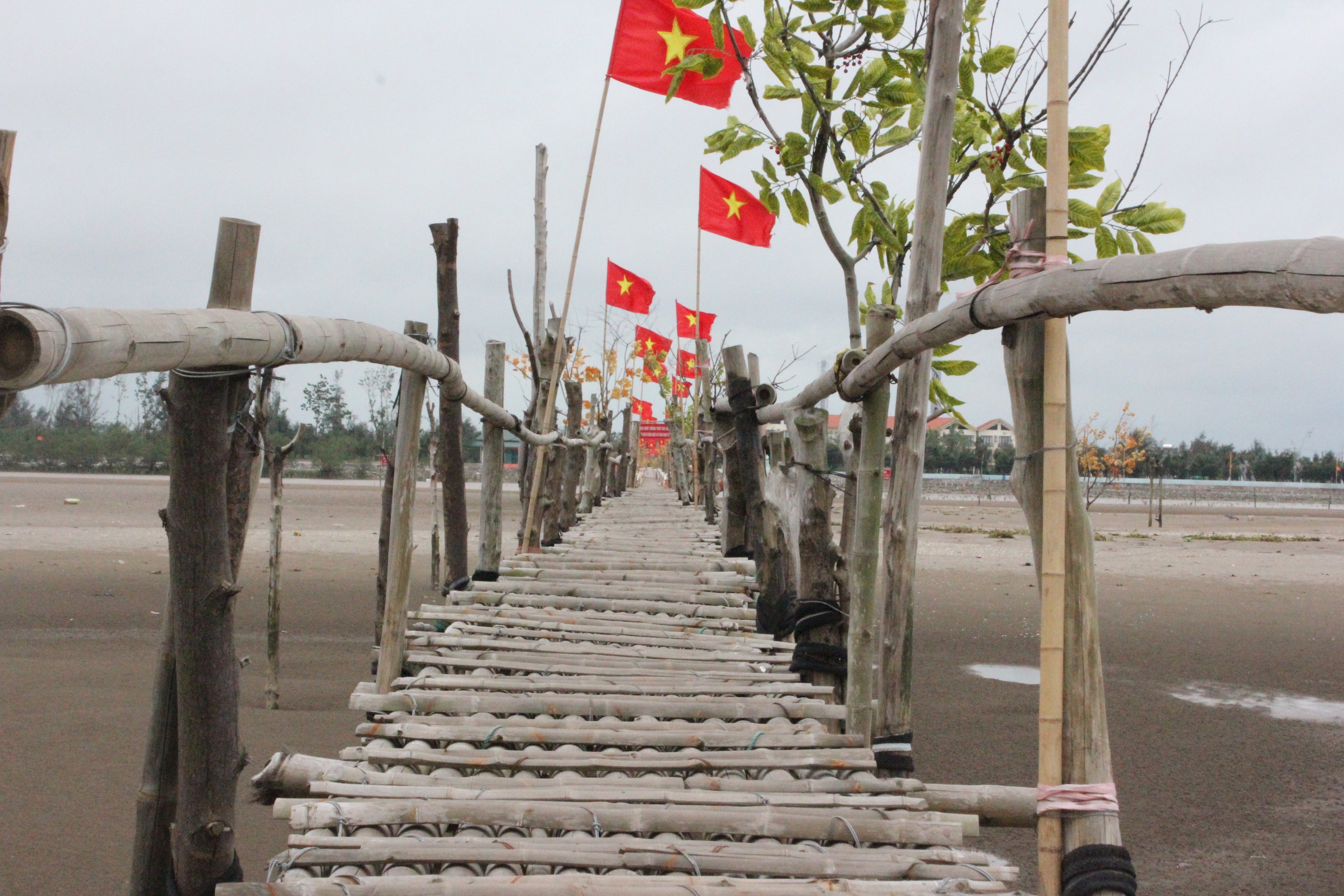 Độc lạ cầu tre vượt biển ở Cồn Đen- Ảnh 4.