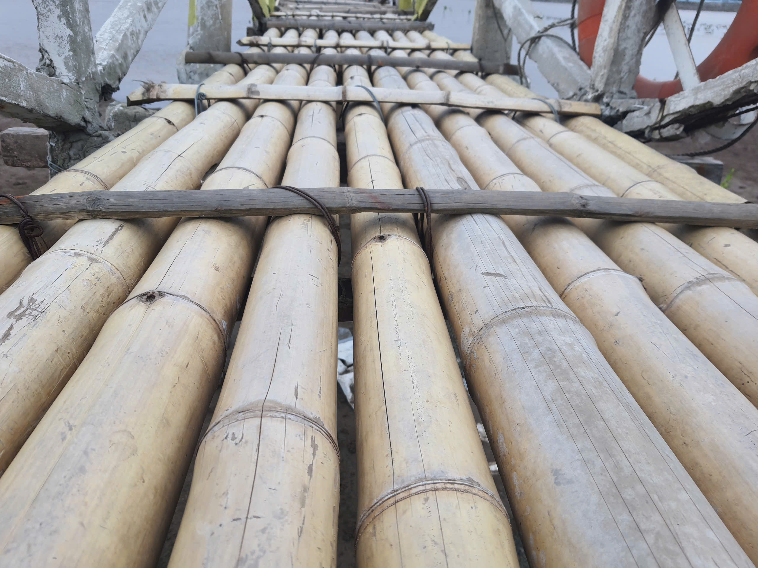 Độc lạ cầu tre vượt biển ở Cồn Đen- Ảnh 3.