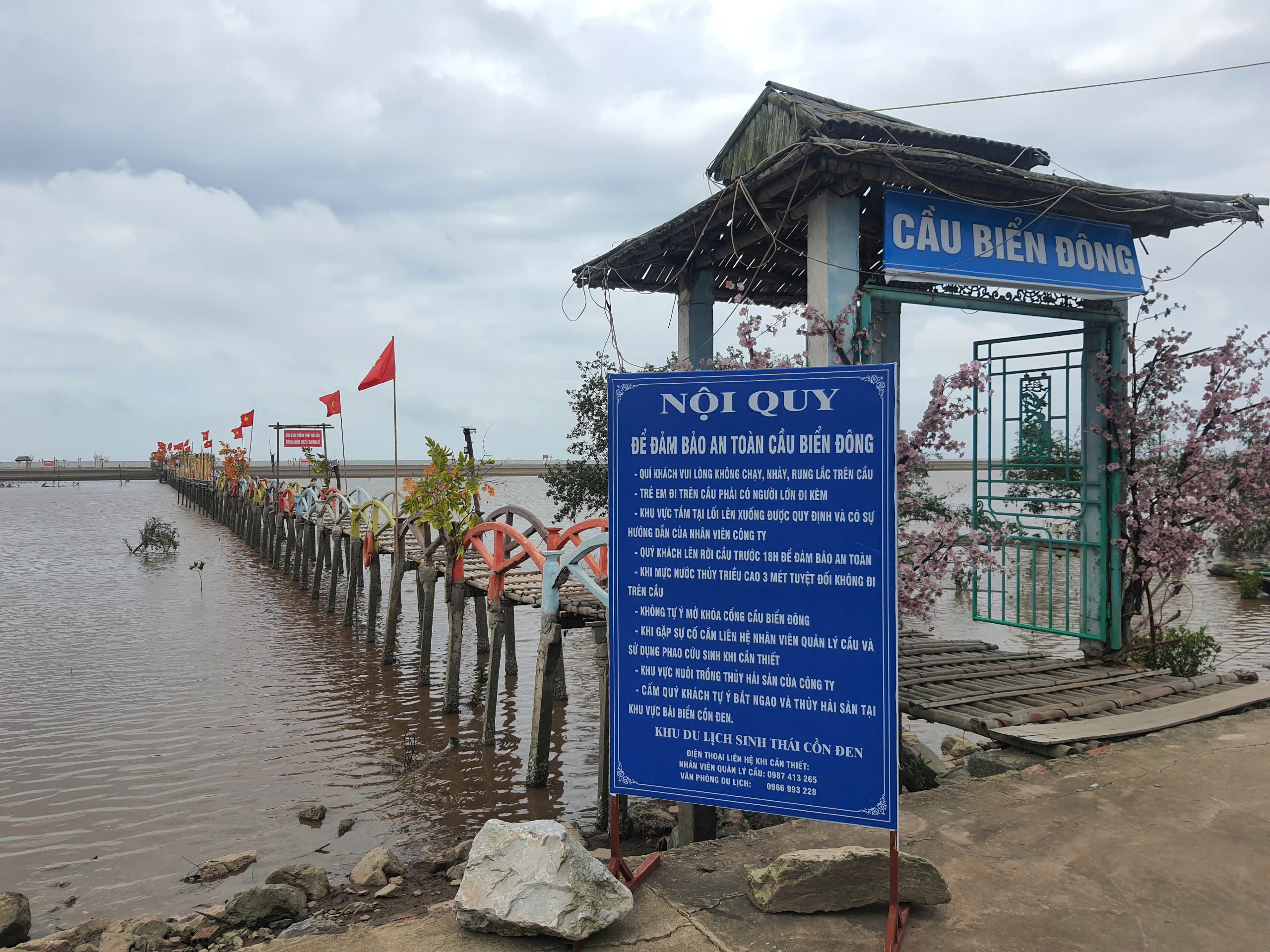 Độc lạ cầu tre vượt biển ở Cồn Đen- Ảnh 1.