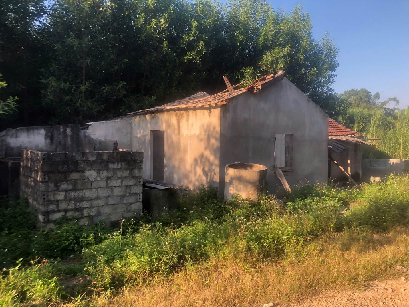 Nghệ An: H&agrave;ng chục hộ d&acirc;n 15 năm mắc kẹt giữa v&ugrave;ng "4 kh&ocirc;ng"- Ảnh 4.