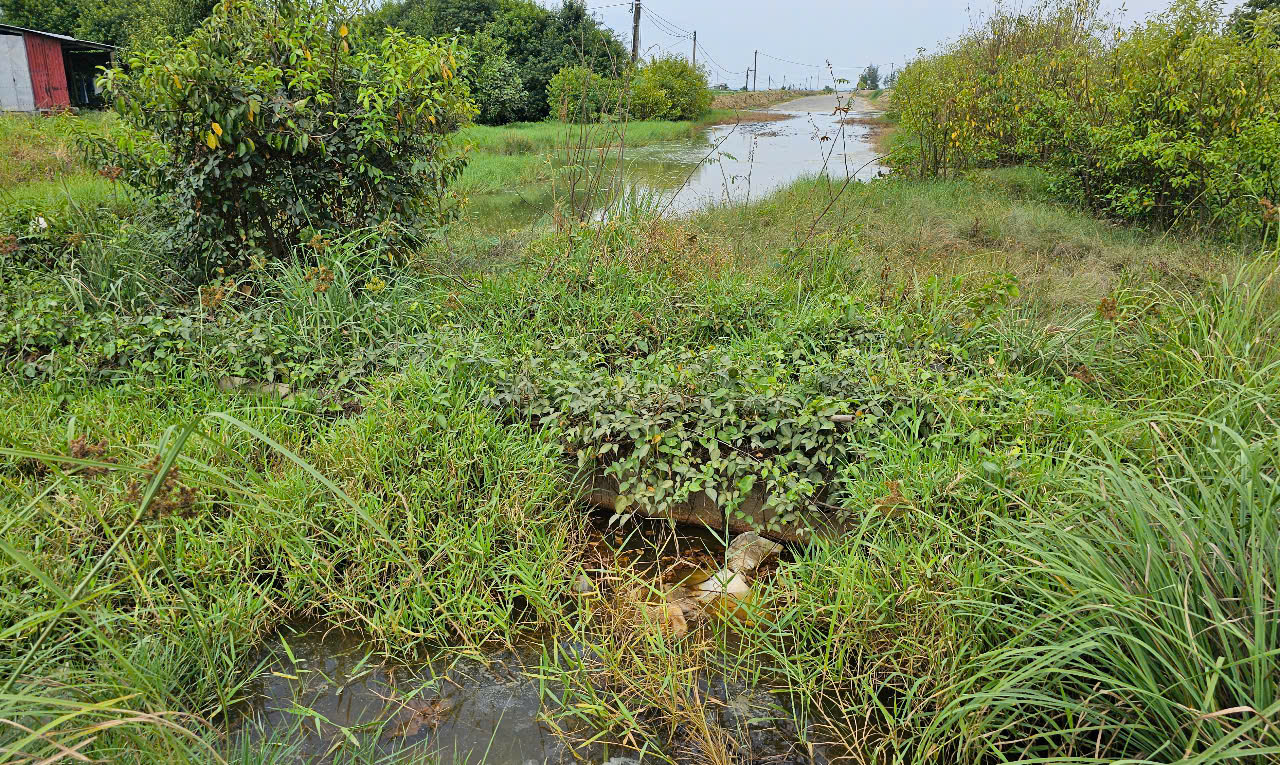 Huế: H&agrave;ng loạt tuyến đường bị r&agrave;o chắn chờ đấu nối quốc lộ, l&atilde;ng ph&iacute; tiền tỷ- Ảnh 1.