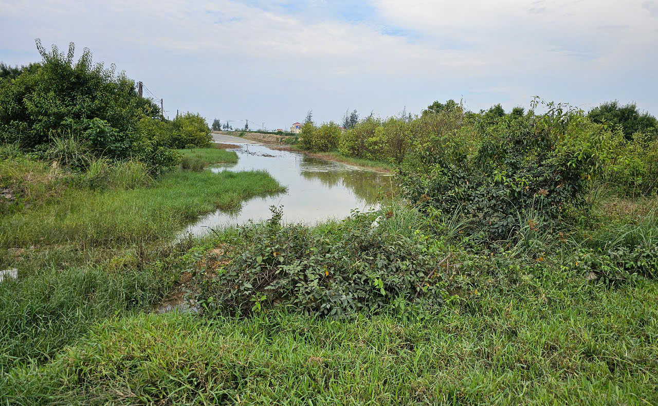 Huế: H&agrave;ng loạt tuyến đường bị r&agrave;o chắn chờ đấu nối quốc lộ, l&atilde;ng ph&iacute; tiền tỷ- Ảnh 10.