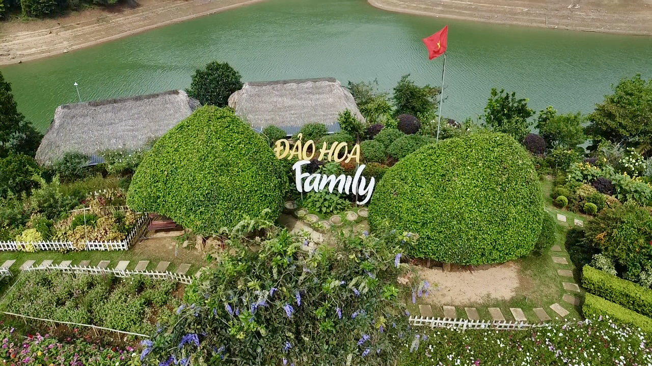 M&ecirc; mẩn đảo hoa mu&ocirc;n sắc giữa l&ograve;ng hồ N&uacute;i Cốc- Ảnh 3.