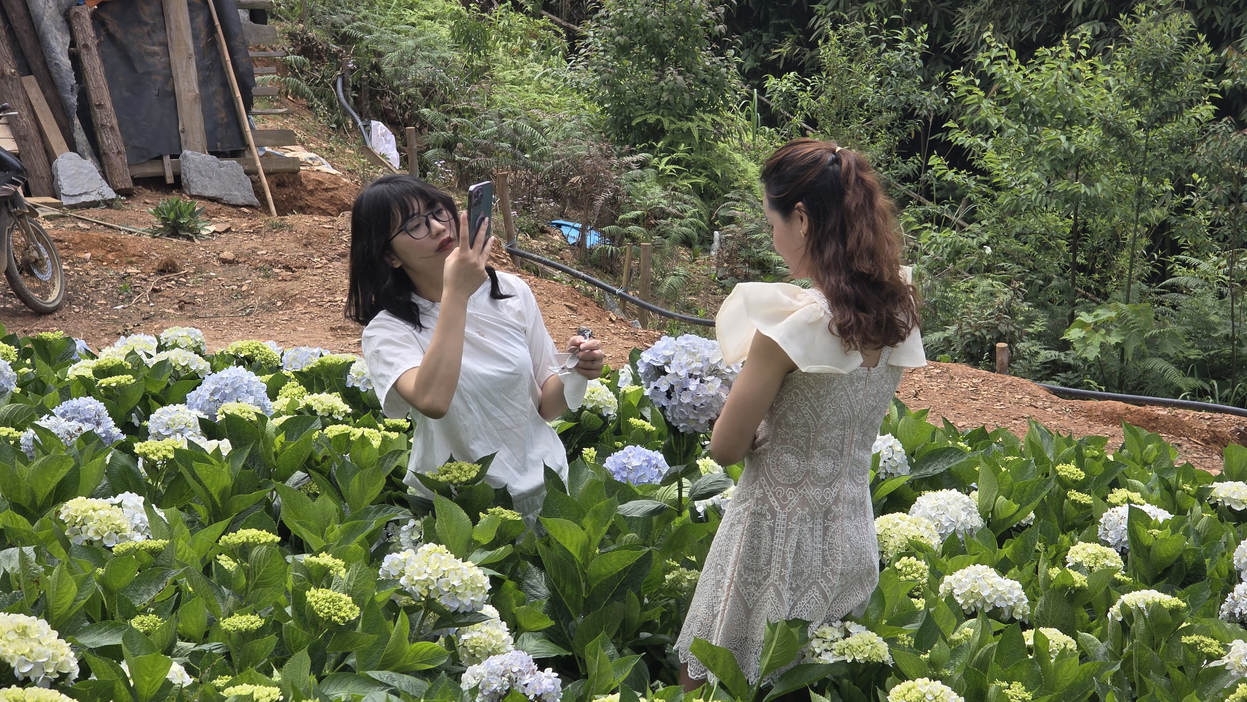 Đến Bắc H&agrave; kh&aacute;m ph&aacute; thi&ecirc;n đường thung lũng hoa, thưởng thức đặc sản thắng cố- Ảnh 6.