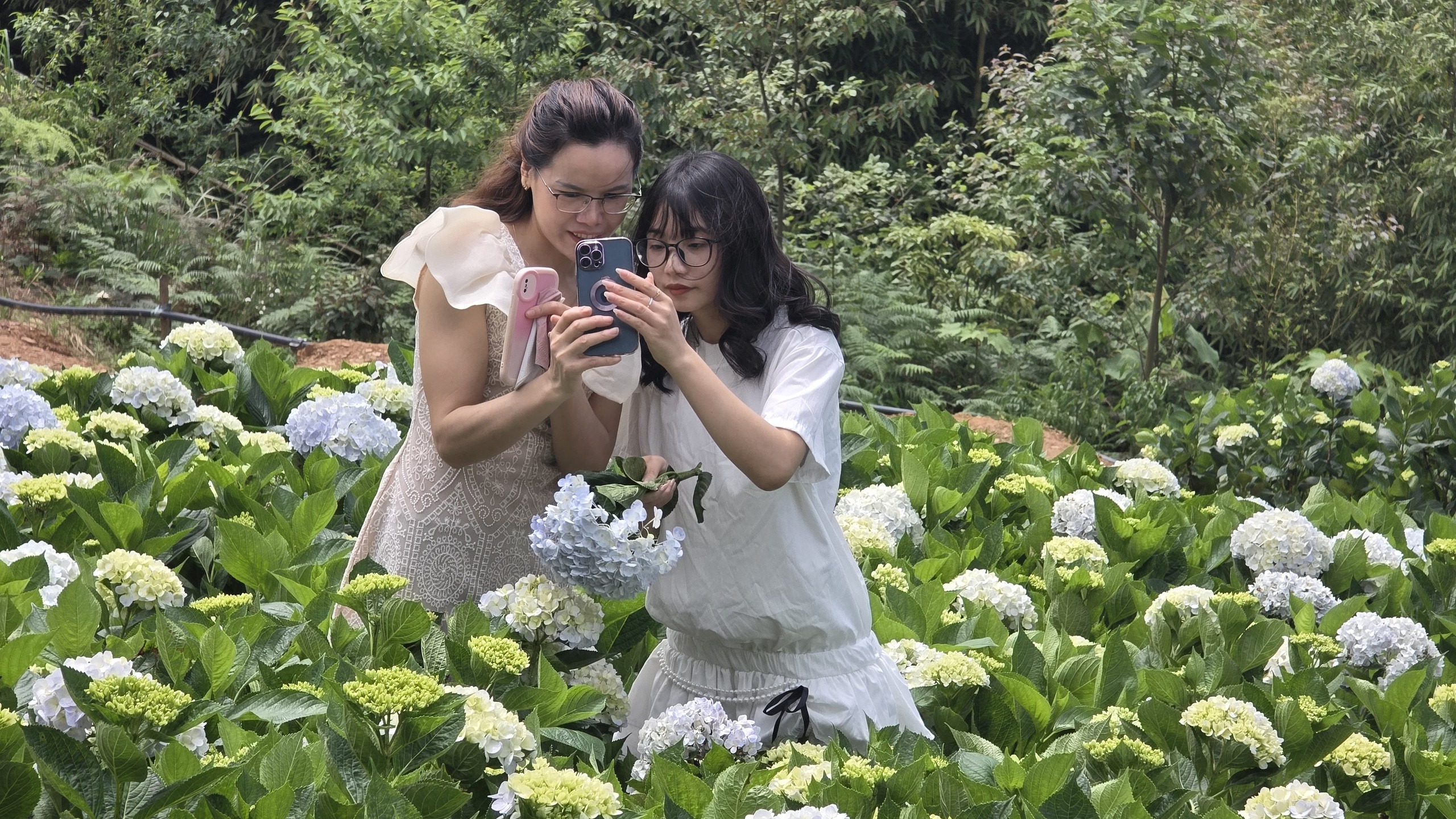 Đến Bắc H&agrave; kh&aacute;m ph&aacute; thi&ecirc;n đường thung lũng hoa, thưởng thức đặc sản thắng cố- Ảnh 7.