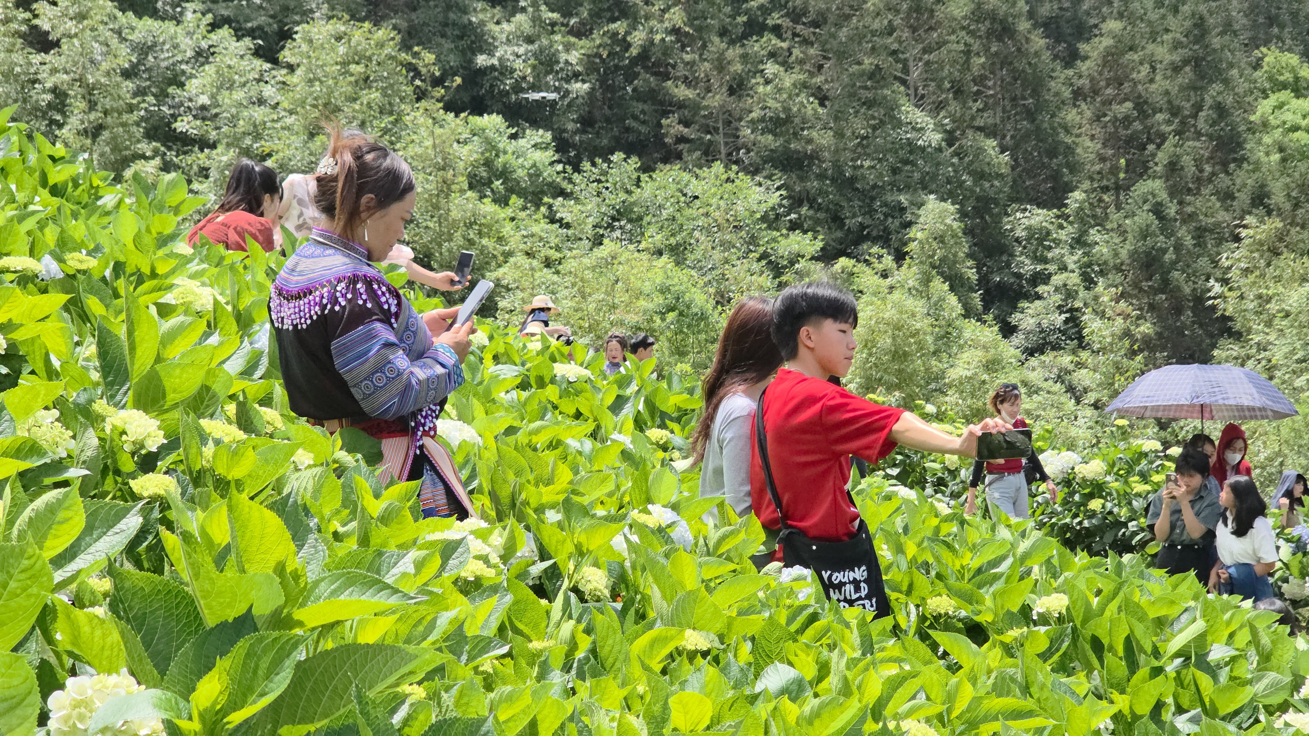 Đến Bắc H&agrave; kh&aacute;m ph&aacute; thi&ecirc;n đường thung lũng hoa, thưởng thức đặc sản thắng cố- Ảnh 8.