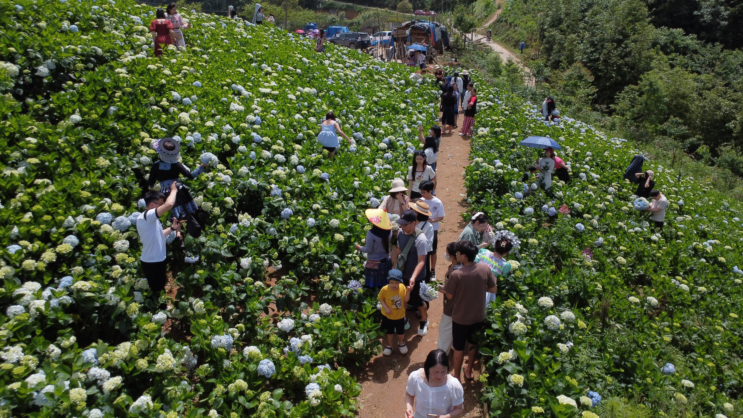 Đến Bắc H&agrave; kh&aacute;m ph&aacute; thi&ecirc;n đường thung lũng hoa, thưởng thức đặc sản thắng cố- Ảnh 10.