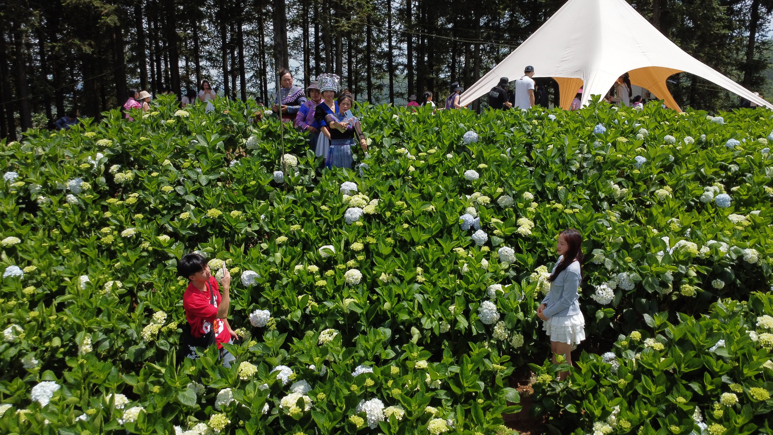 Đến Bắc H&agrave; kh&aacute;m ph&aacute; thi&ecirc;n đường thung lũng hoa, thưởng thức đặc sản thắng cố- Ảnh 11.