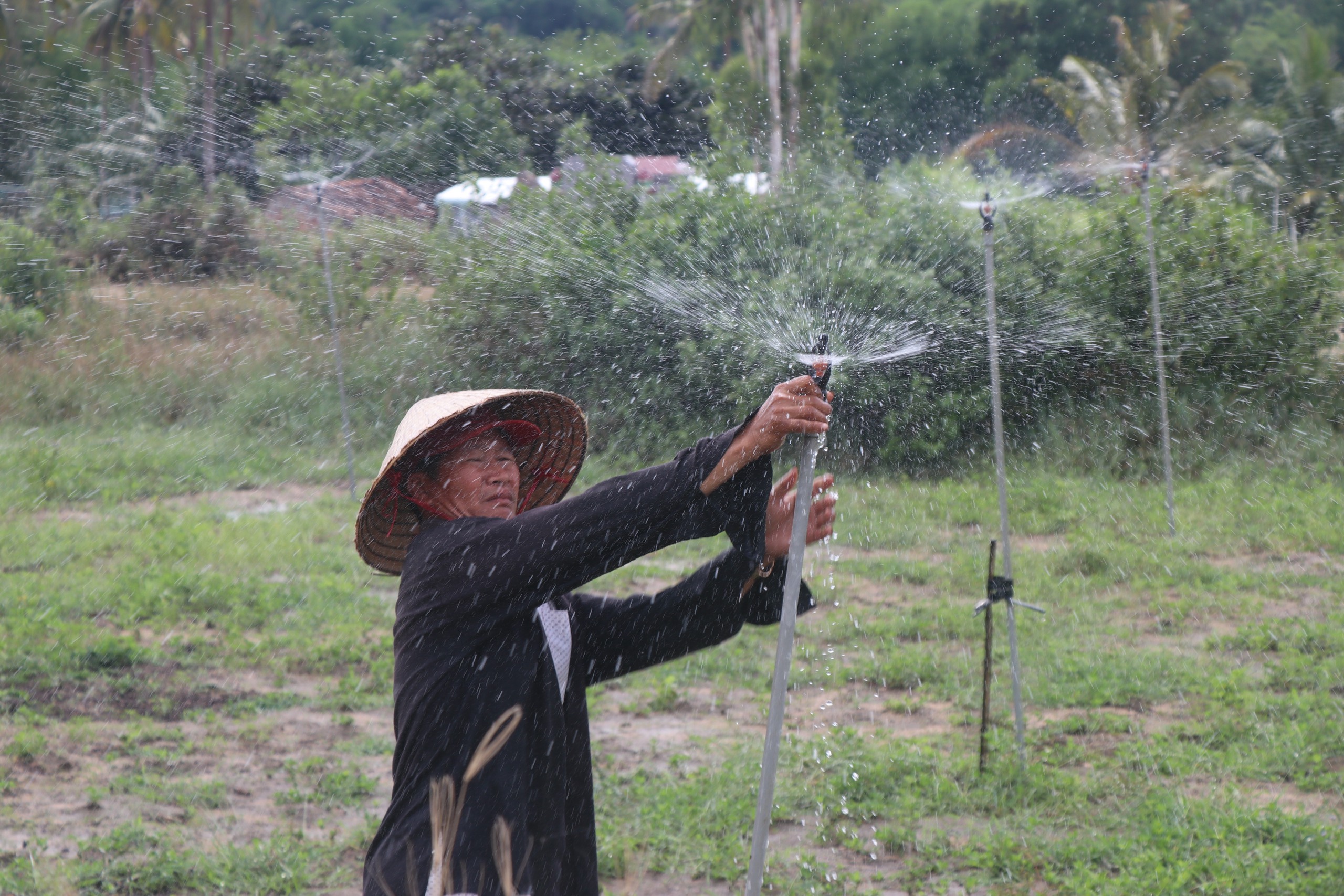 B&igrave;nh Định: "Hồi sinh" trạm bơm bỏ hoang nhiều năm, nước về tận ch&acirc;n ruộng- Ảnh 1.