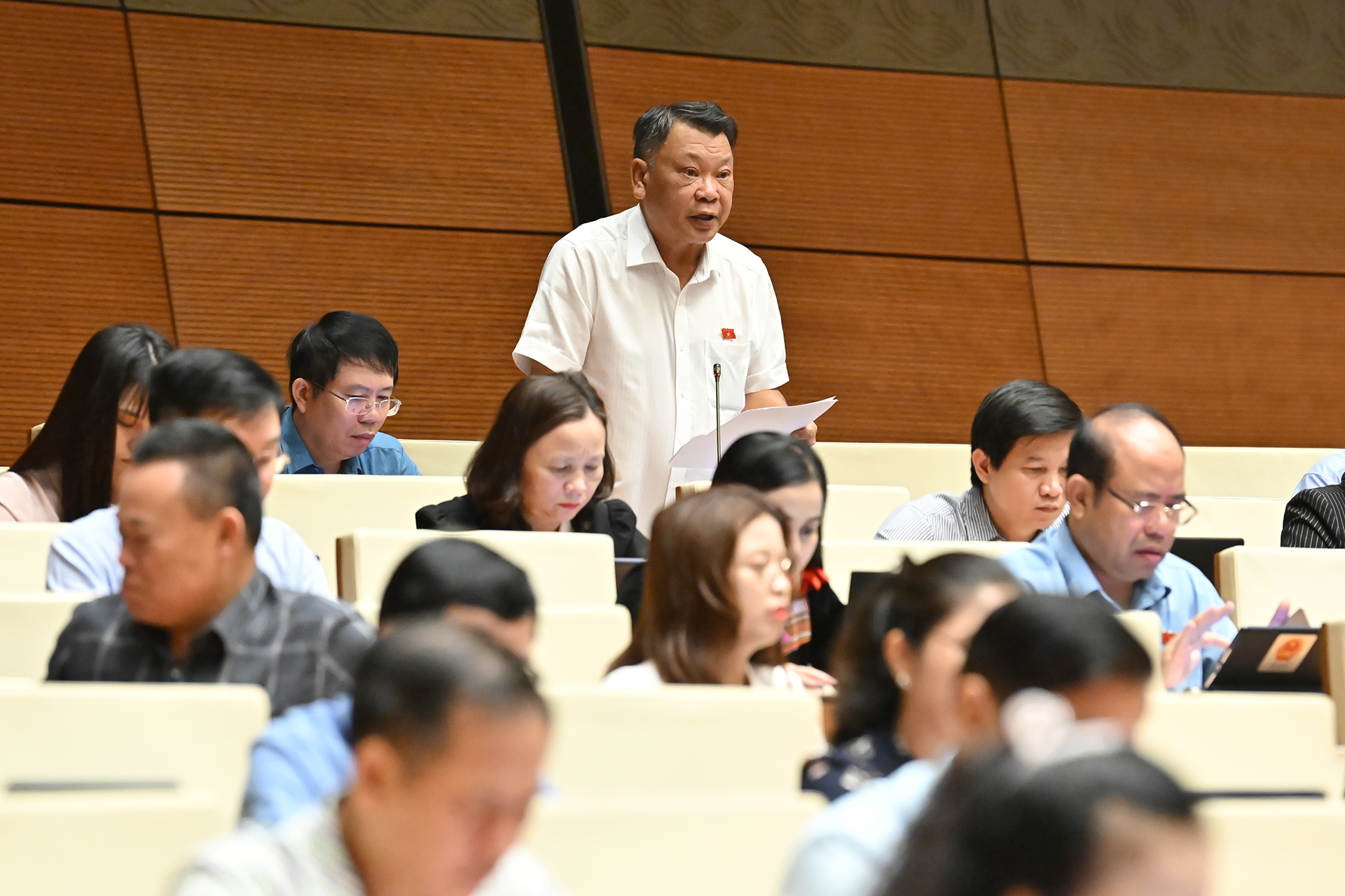 ĐBQH: Thanh tra theo kế hoạch không hiệu quả vì mất yếu tố bất ngờ- Ảnh 2. ĐBQH: Thanh tra theo kế hoạch không hiệu quả vì mất yếu tố bất ngờ- Ảnh 2.