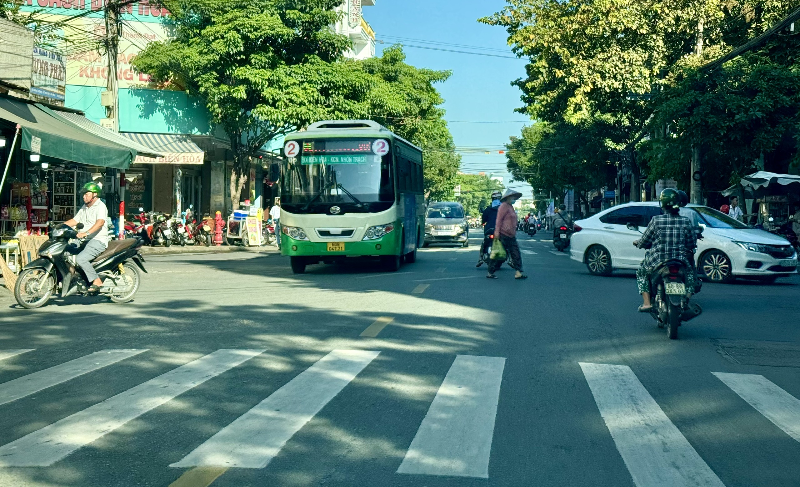 Đồng Nai: Cần ch&iacute;nh s&aacute;ch d&agrave;i hơi để chuyển bu&yacute;t truyền thống sang bu&yacute;t xanh- Ảnh 2.