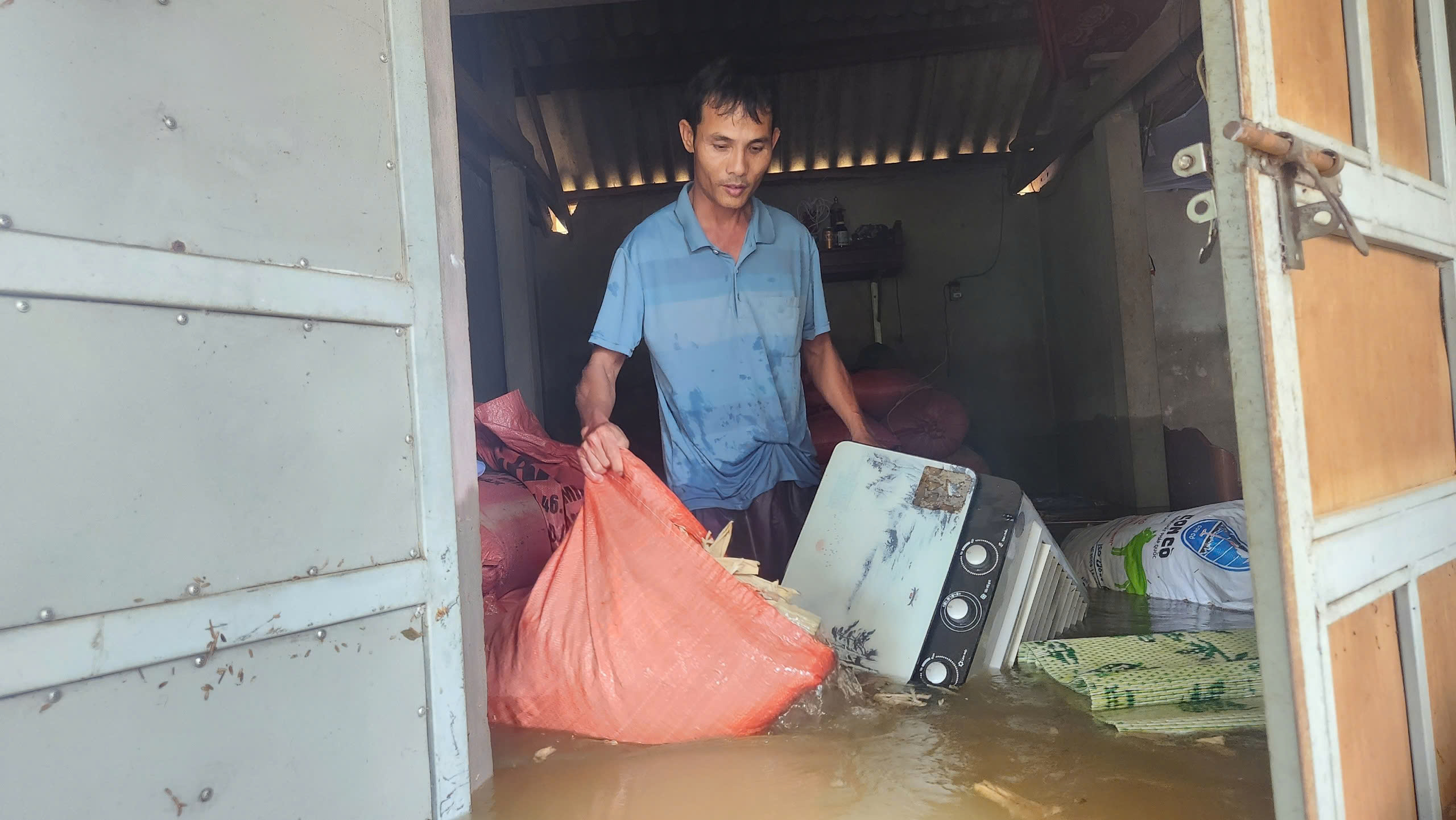 H&agrave; Tĩnh: H&agrave;ng ngh&igrave;n tấn l&uacute;a ch&igrave;m trong nước lũ, n&ocirc;ng d&acirc;n kh&oacute;c r&ograve;ng- Ảnh 2.