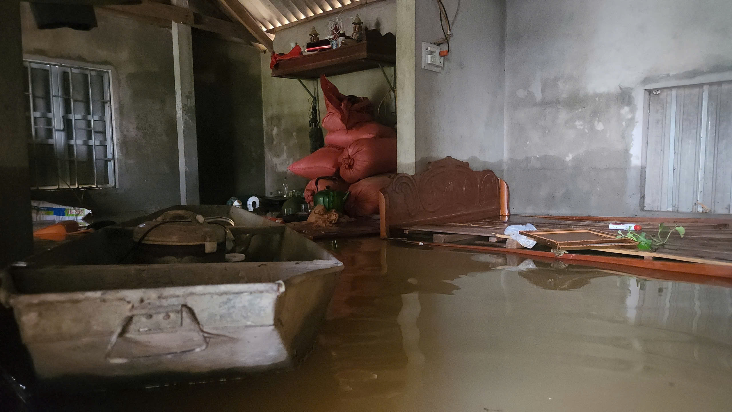 H&agrave; Tĩnh: H&agrave;ng ngh&igrave;n tấn l&uacute;a ch&igrave;m trong nước lũ, n&ocirc;ng d&acirc;n kh&oacute;c r&ograve;ng- Ảnh 4.