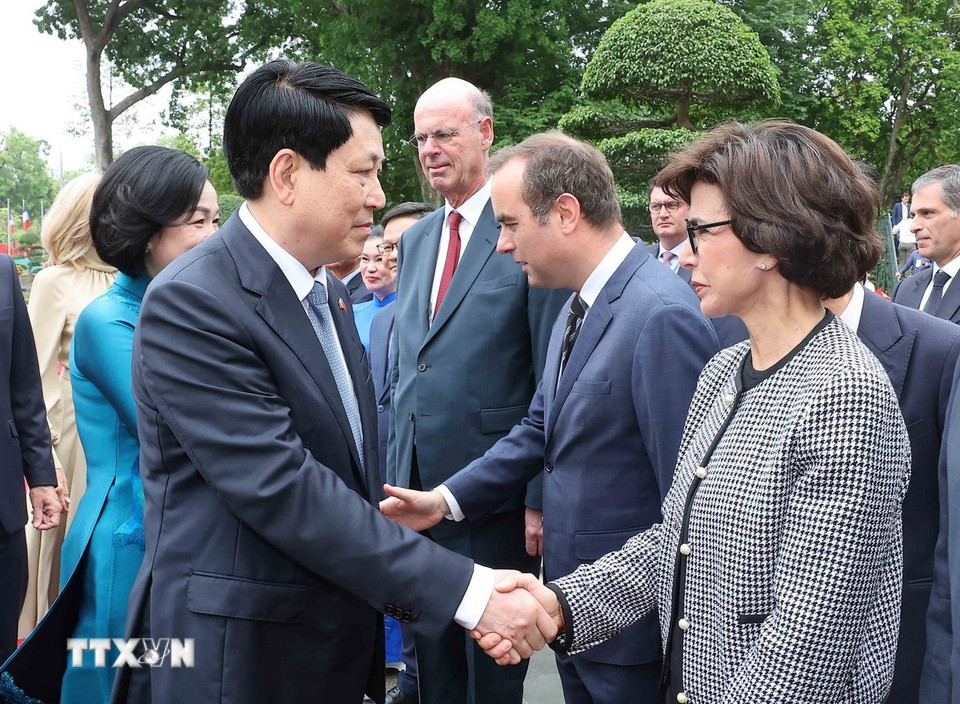 Chủ tịch nước Lương Cường chủ tr&igrave; lễ đ&oacute;n trọng thể Tổng thống Ph&aacute;p Emmanuel Macron- Ảnh 8.