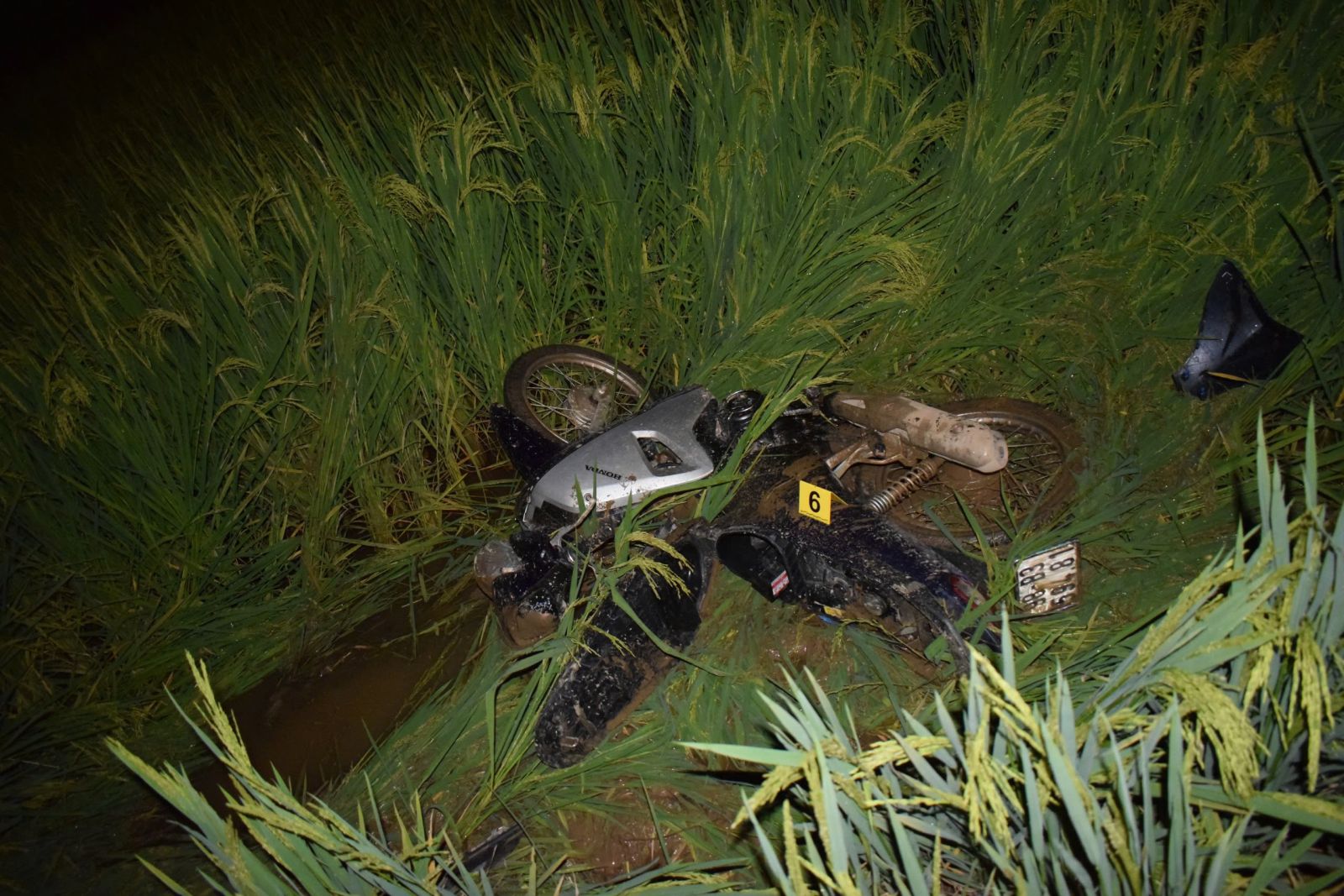 Làm rõ tài xế gây tai nạn chết người, bỏ trốn ở Bắc Giang- Ảnh 1. Làm rõ tài xế gây tai nạn chết người, bỏ trốn ở Bắc Giang- Ảnh 1.