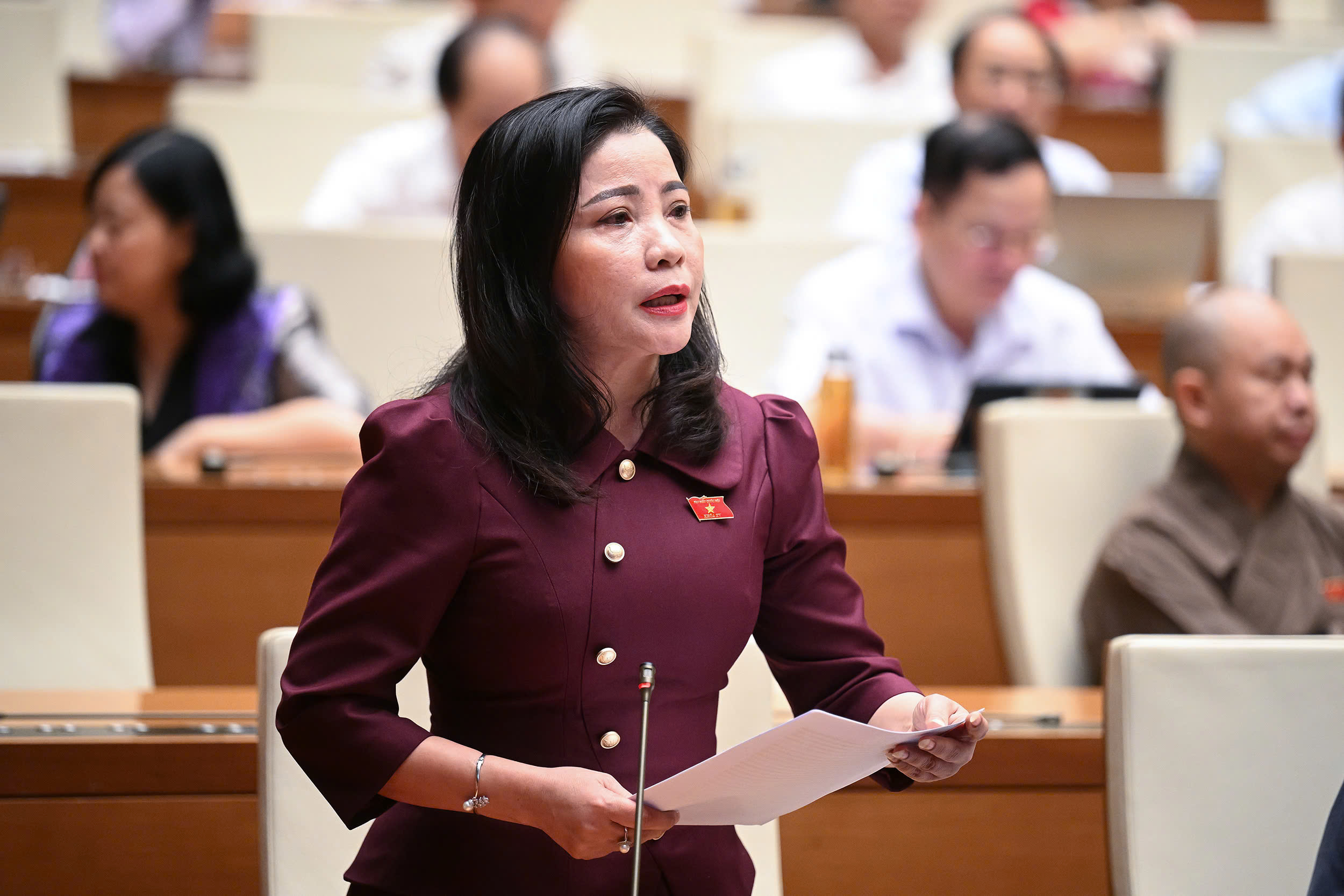 Ph&acirc;n cấp tối đa trong lập, thẩm định quy hoạch nhưng phải c&oacute; cơ chế kiểm so&aacute;t- Ảnh 1.