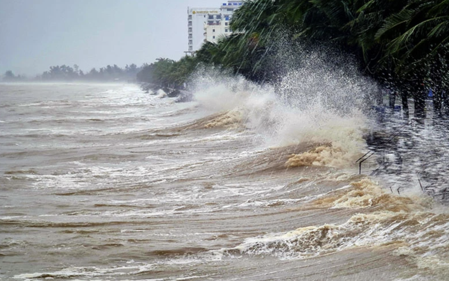 Cảnh b&aacute;o &aacute;p thấp Biển Đ&ocirc;ng- Ảnh 1.