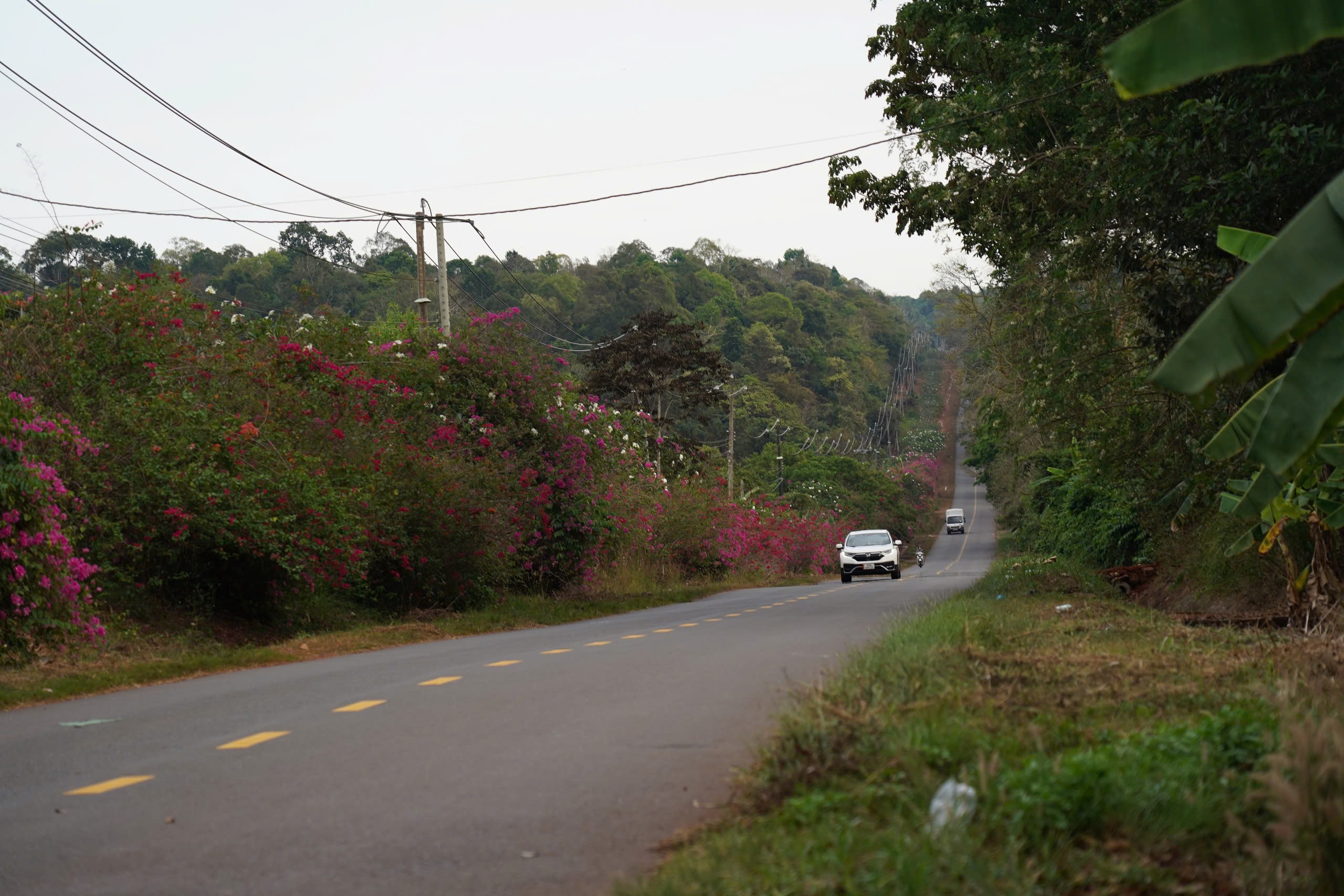 Từ 1/9, Đồng Nai khởi c&ocirc;ng cầu M&atilde; Đ&agrave; v&agrave; loạt dự &aacute;n trọng điểm- Ảnh 2.