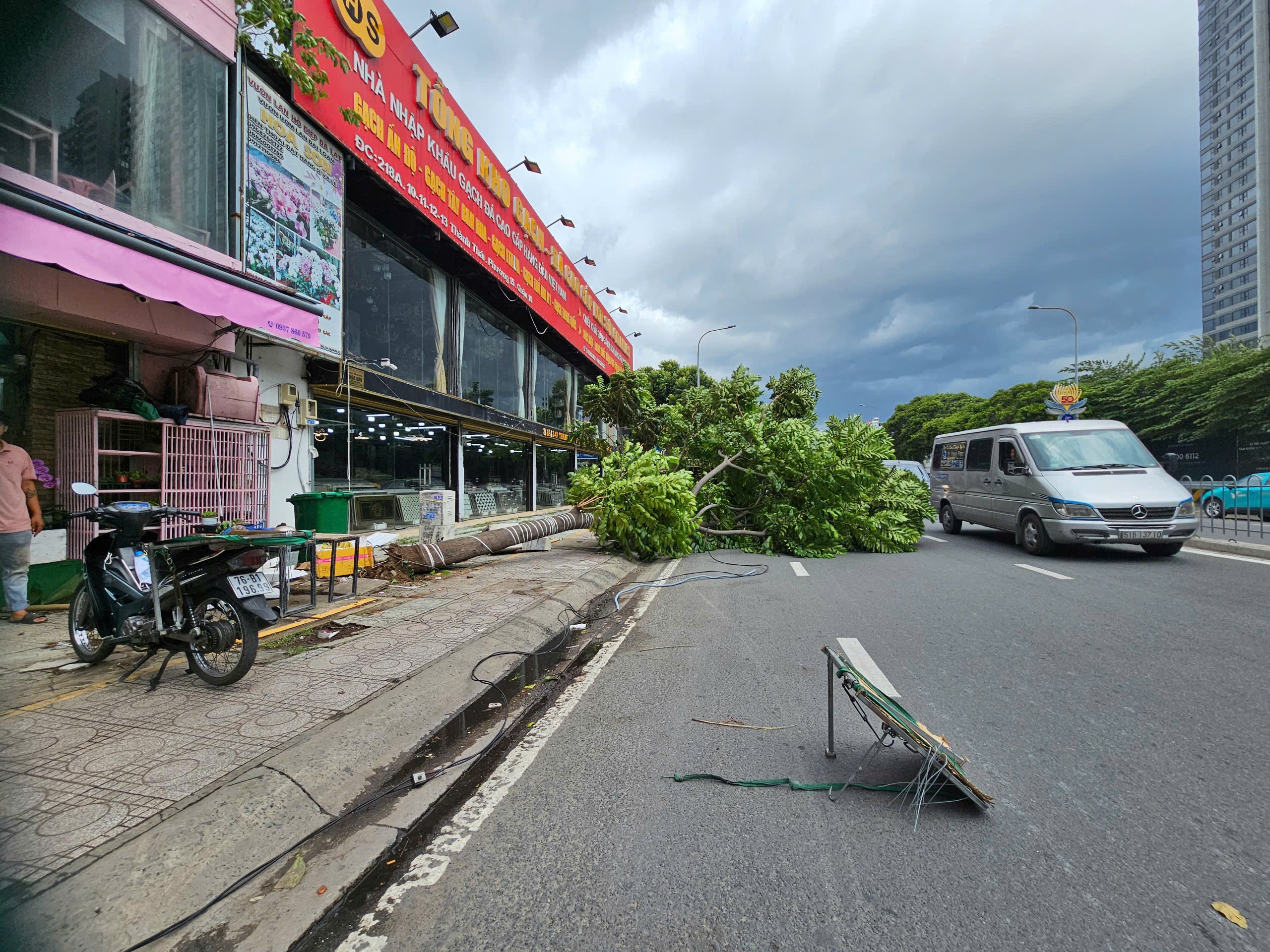 Gió lớn khiến cây xanh bật gốc chắn 2/3 làn đường ở TP.HCM- Ảnh 3. Gió lớn khiến cây xanh bật gốc chắn 2/3 làn đường ở TP.HCM- Ảnh 3.