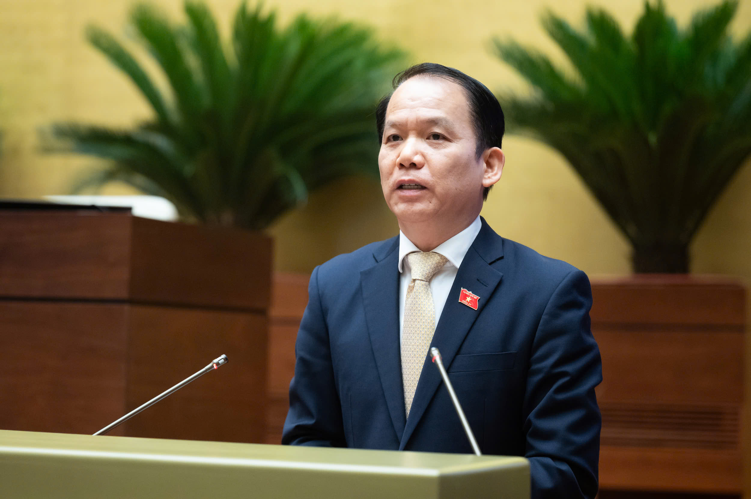 Quốc hội th&ocirc;ng qua nghị quyết về sửa đổi, bổ sung Hiến ph&aacute;p 2013- Ảnh 4.