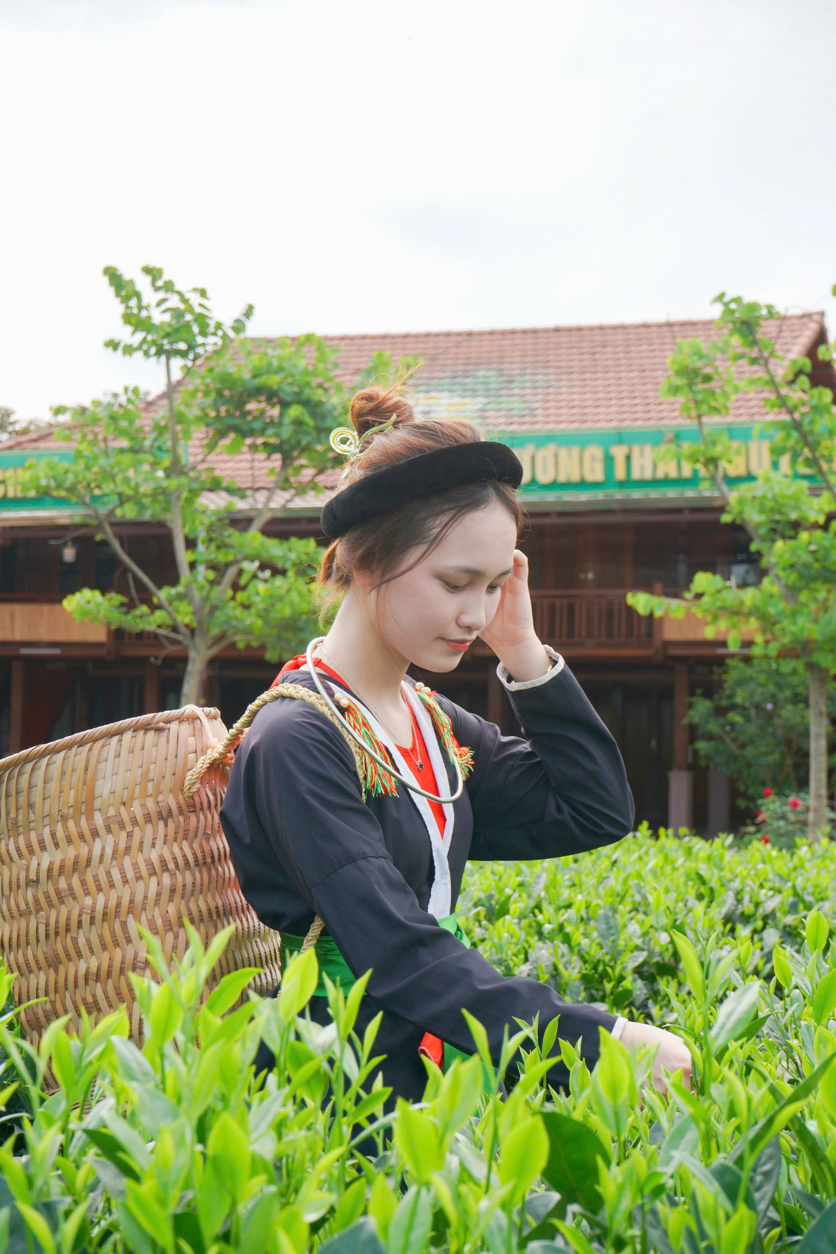 Du kh&aacute;ch th&iacute;ch th&uacute; những đồi ch&egrave; xanh ng&aacute;t ở Th&aacute;i Nguy&ecirc;n- Ảnh 8.