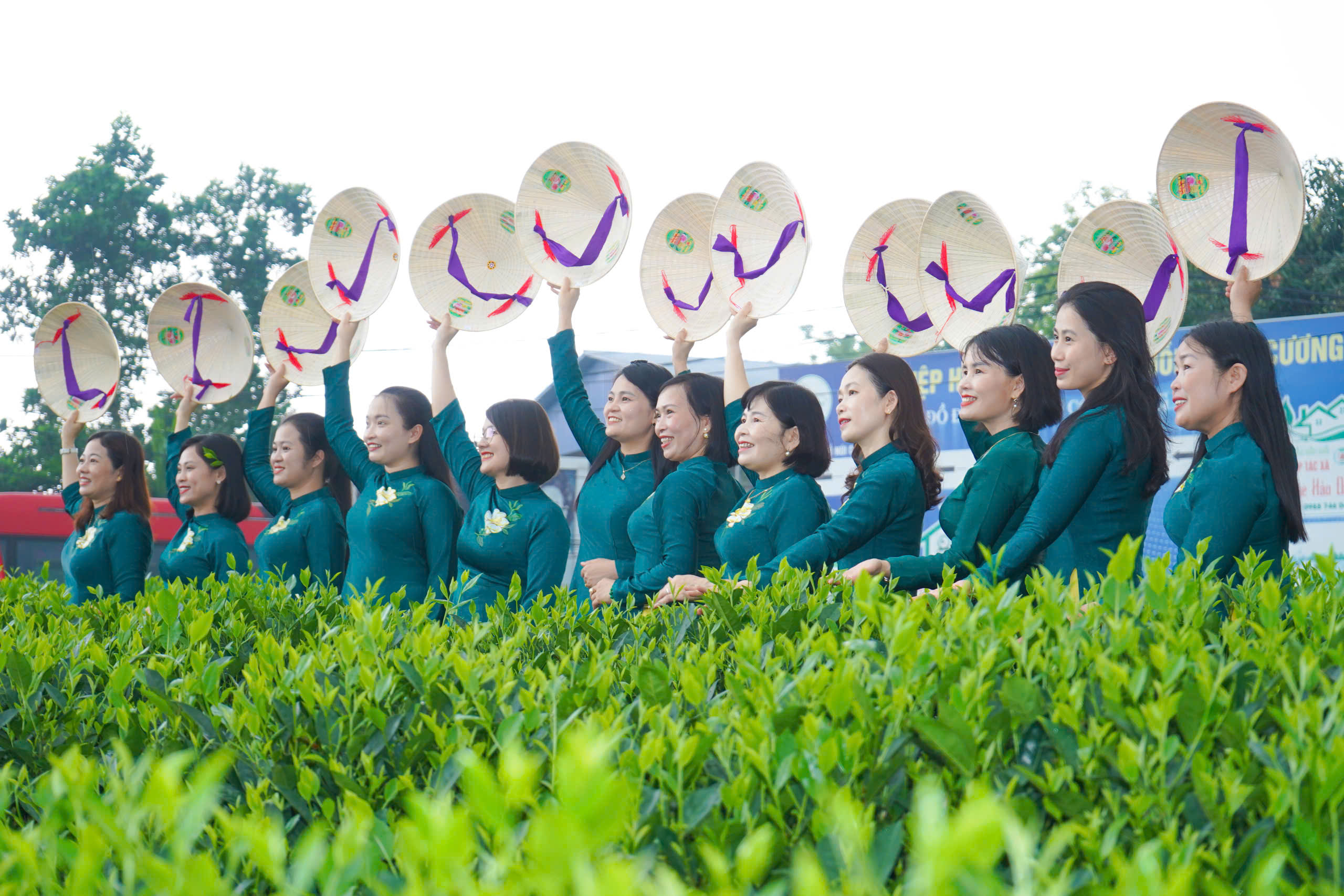 Du kh&aacute;ch th&iacute;ch th&uacute; những đồi ch&egrave; xanh ng&aacute;t ở Th&aacute;i Nguy&ecirc;n- Ảnh 9.