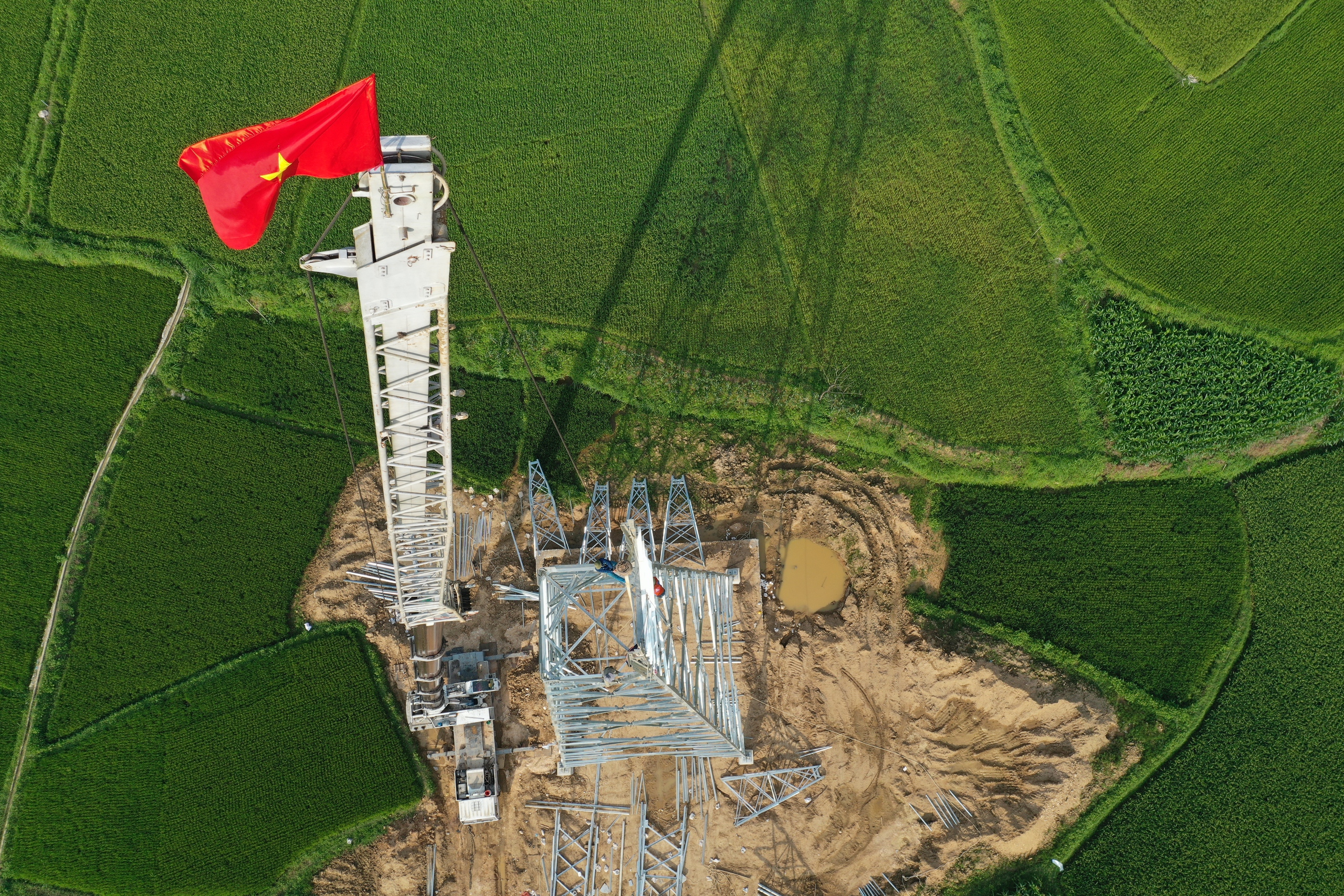 Những b&ocirc;ng hồng sạm nắng tr&ecirc;n c&ocirc;ng trường thi c&ocirc;ng đường d&acirc;y 500kV L&agrave;o Cai - Vĩnh Y&ecirc;n- Ảnh 1.