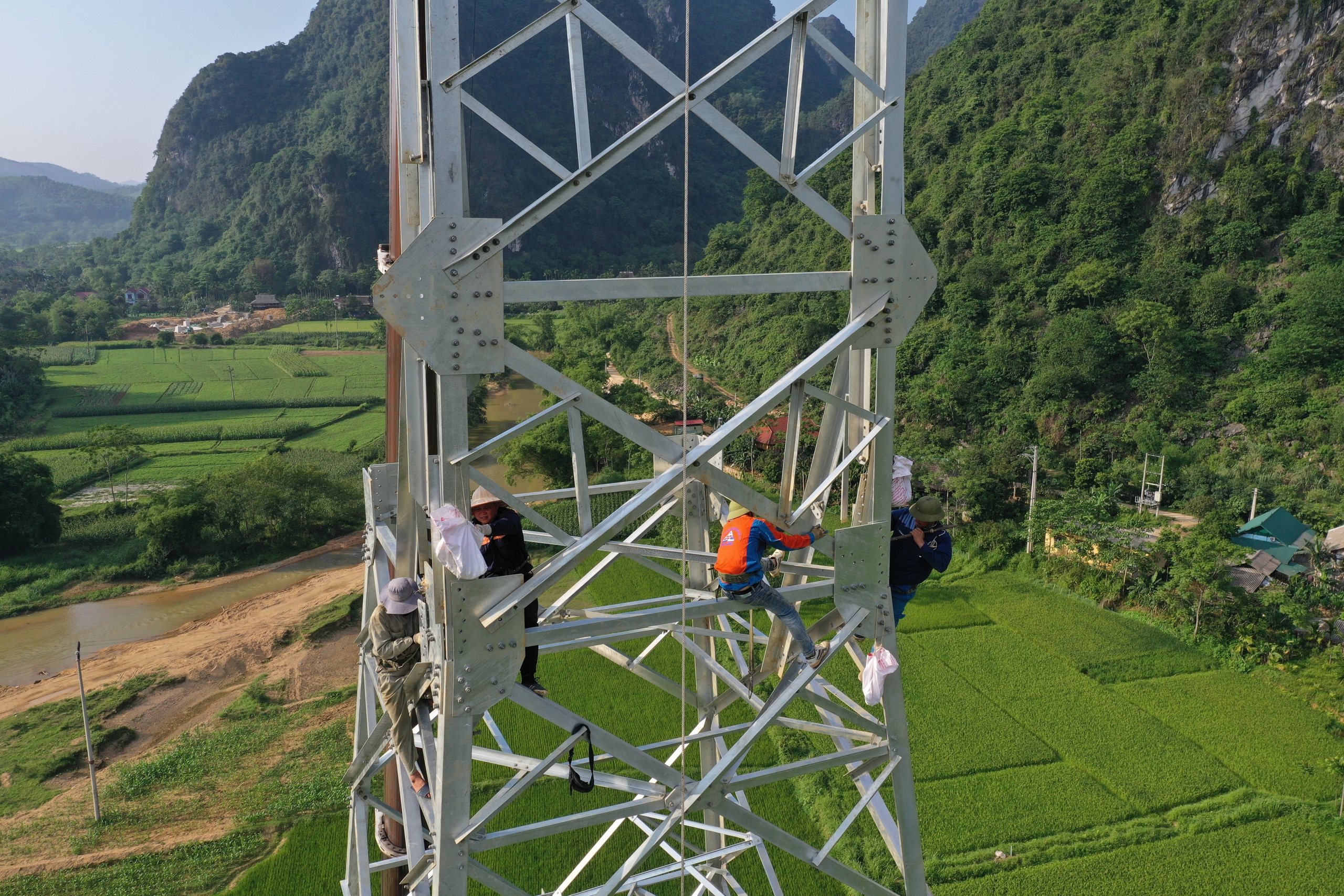 Những b&ocirc;ng hồng sạm nắng tr&ecirc;n c&ocirc;ng trường thi c&ocirc;ng đường d&acirc;y 500kV L&agrave;o Cai - Vĩnh Y&ecirc;n- Ảnh 2.