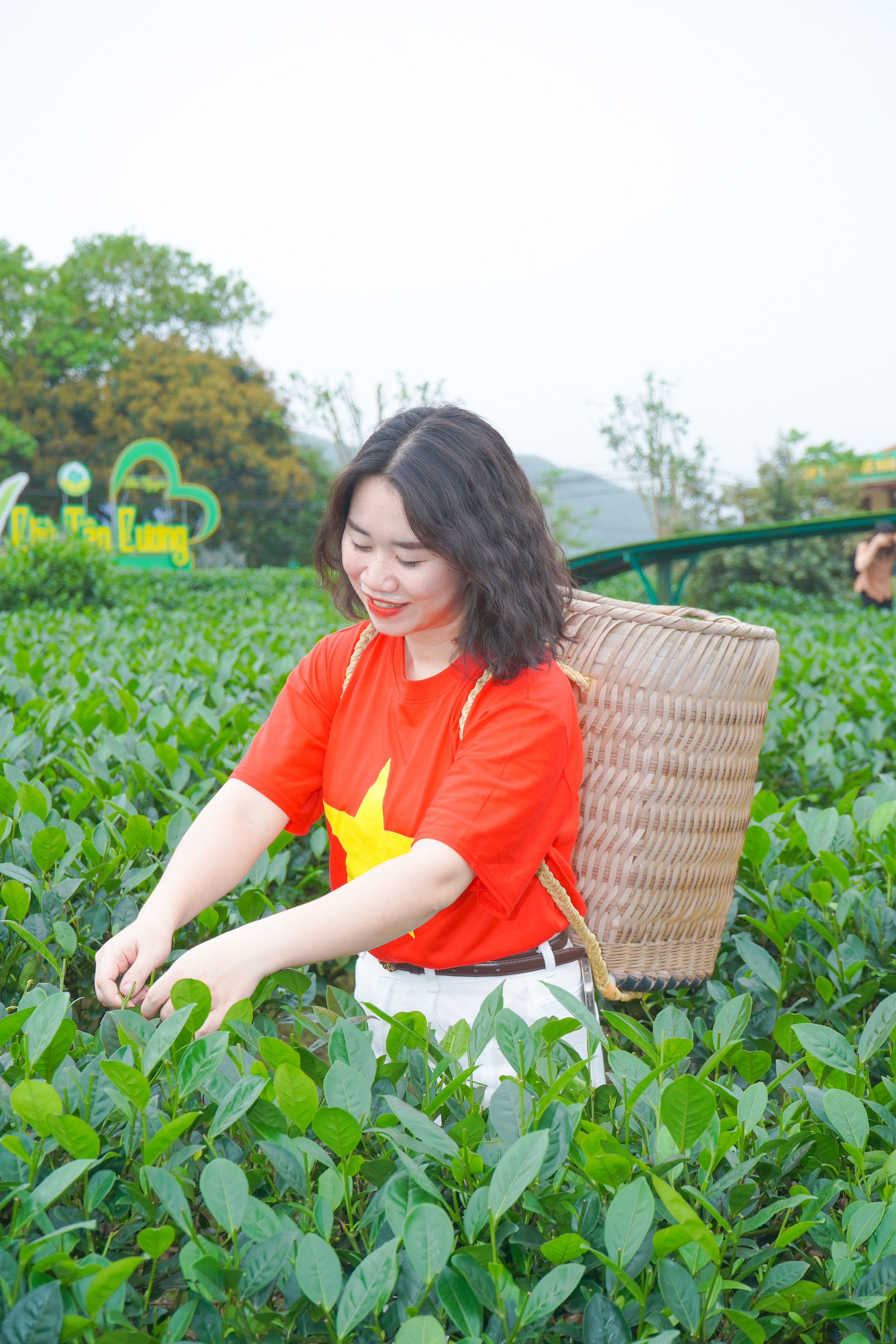 Du kh&aacute;ch th&iacute;ch th&uacute; những đồi ch&egrave; xanh ng&aacute;t ở Th&aacute;i Nguy&ecirc;n- Ảnh 6.