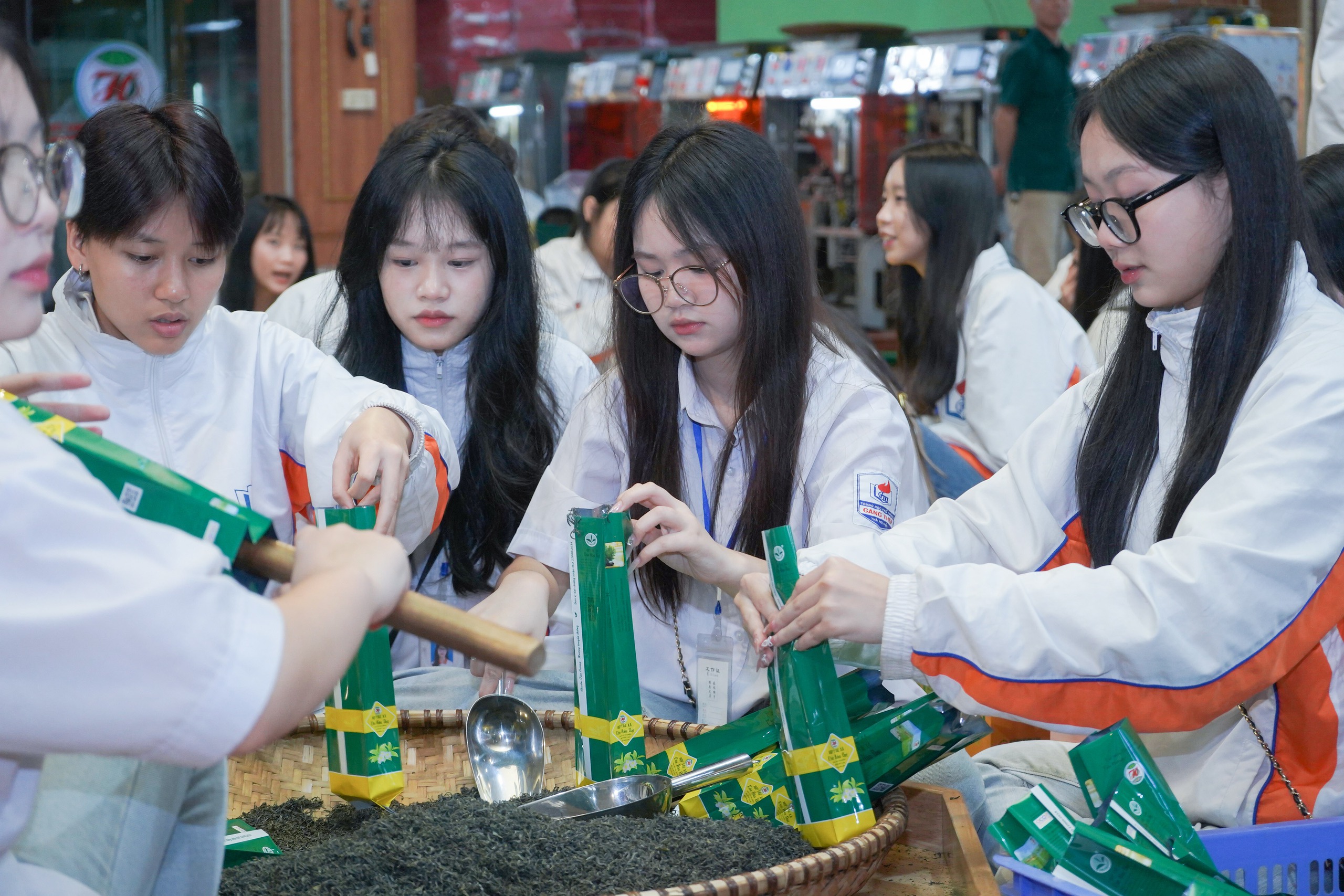 Du kh&aacute;ch th&iacute;ch th&uacute; những đồi ch&egrave; xanh ng&aacute;t ở Th&aacute;i Nguy&ecirc;n- Ảnh 10.