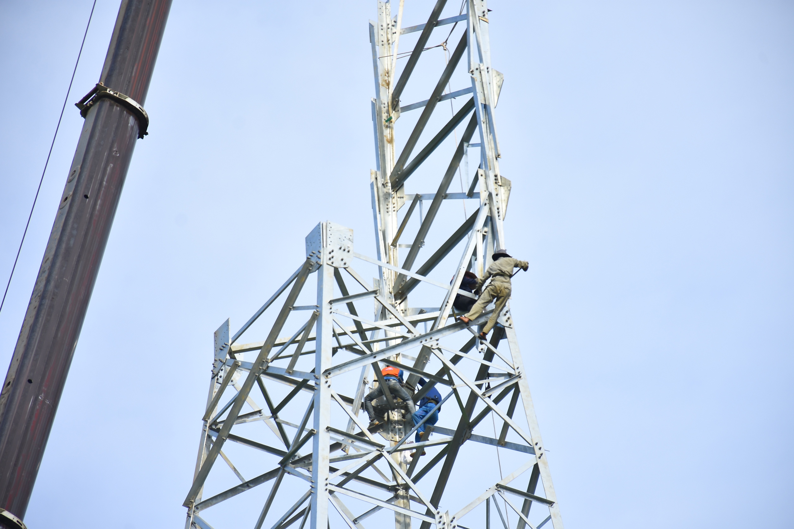 Những b&ocirc;ng hồng sạm nắng tr&ecirc;n c&ocirc;ng trường thi c&ocirc;ng đường d&acirc;y 500kV L&agrave;o Cai - Vĩnh Y&ecirc;n- Ảnh 3.