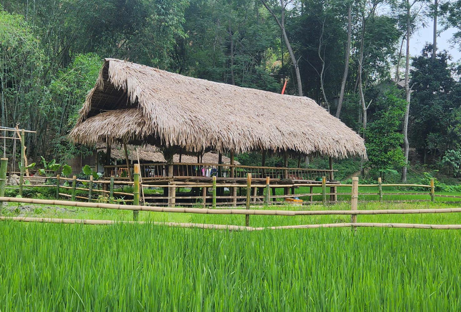 Cảnh hoang sơ tại suối nước n&oacute;ng h&uacute;t kh&aacute;ch du lịch ở Sơn La- Ảnh 8.