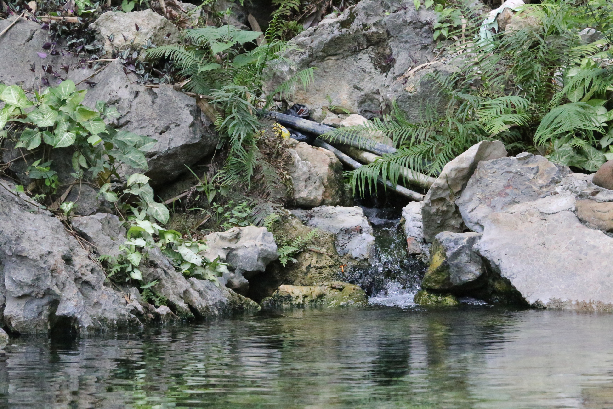 Cảnh hoang sơ tại suối nước n&oacute;ng h&uacute;t kh&aacute;ch du lịch ở Sơn La- Ảnh 4.