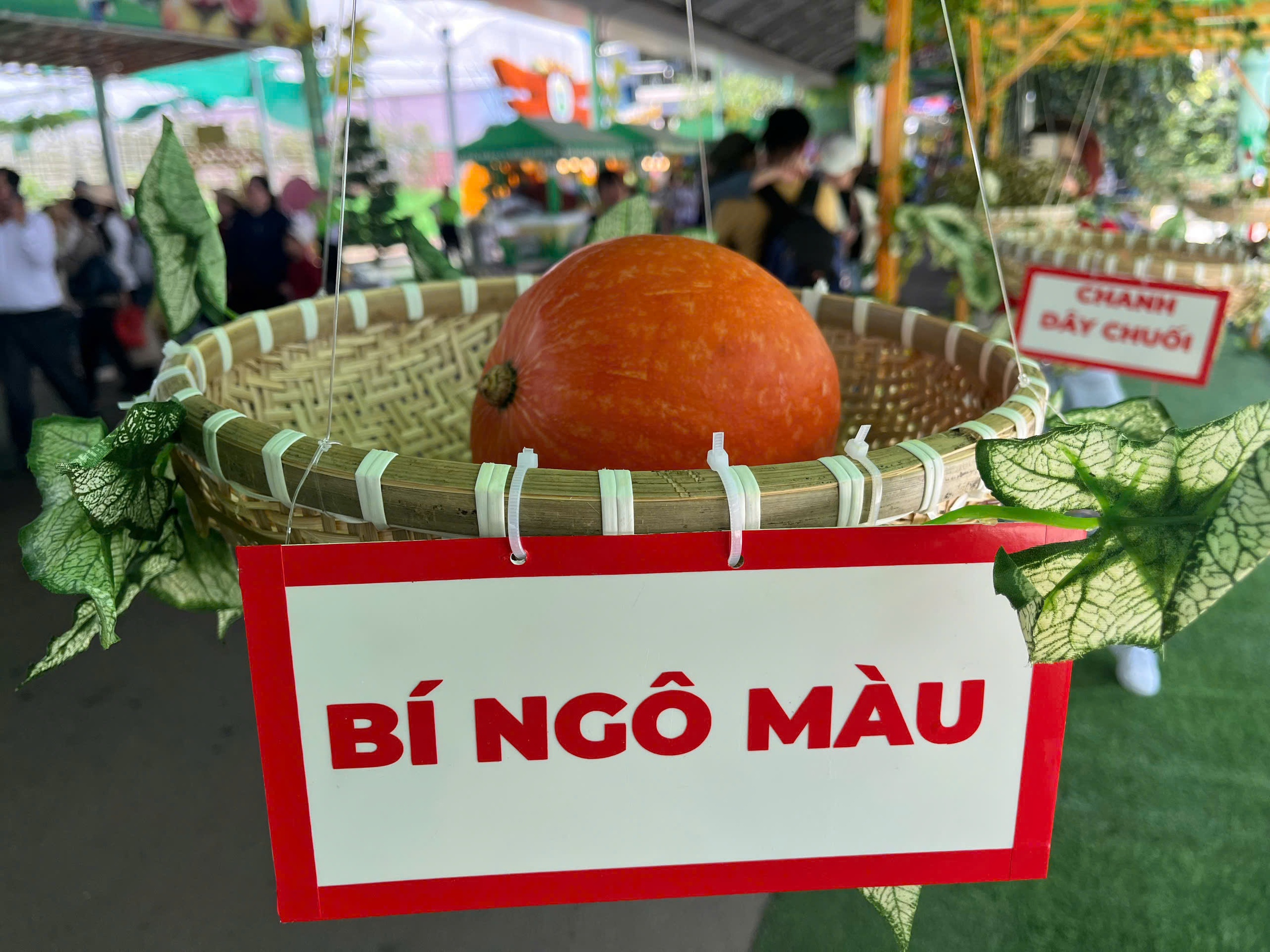 Lễ hội tr&aacute;i c&acirc;y Nam Bộ 2025, hương sắc miệt vườn- Ảnh 10.