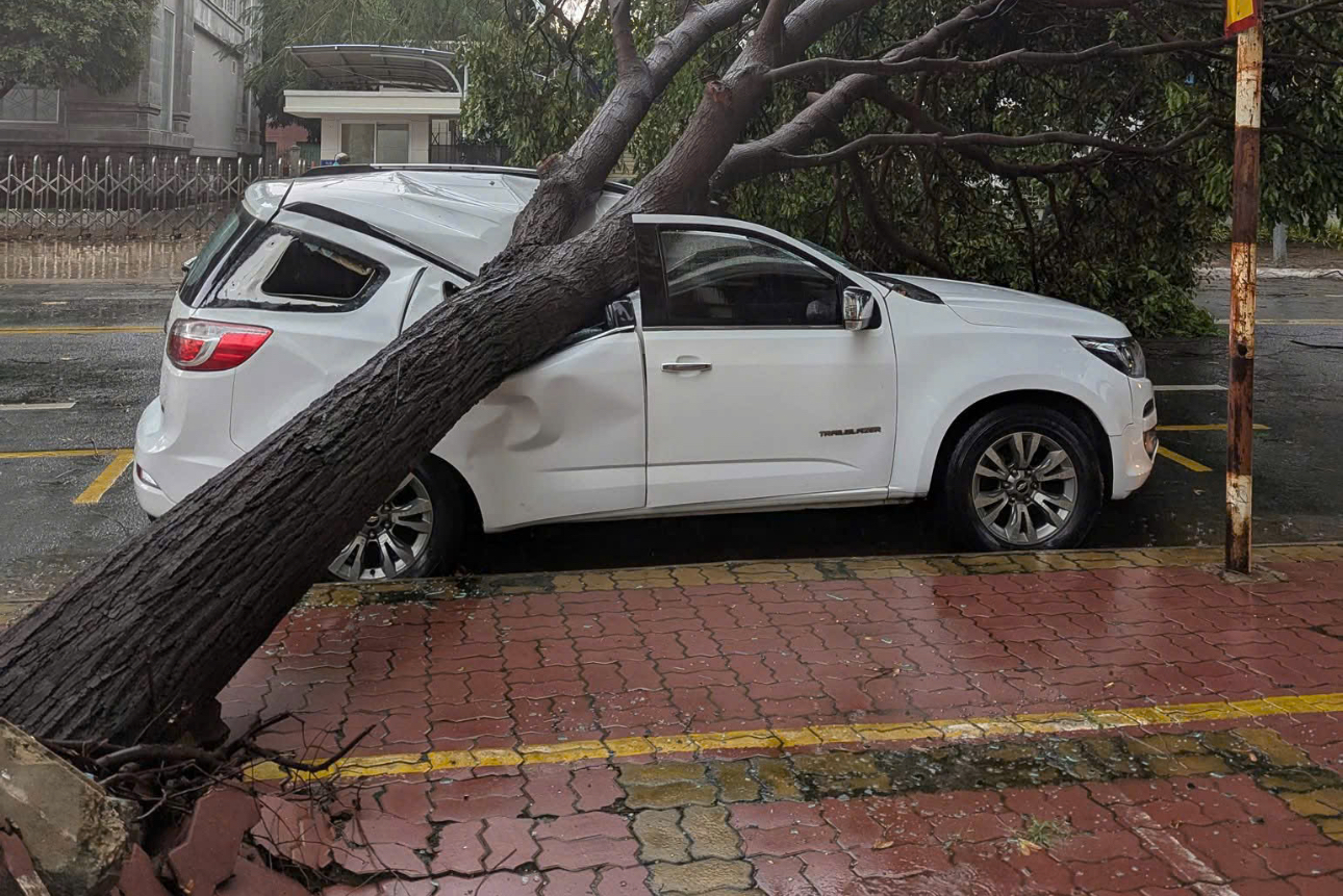 Mưa k&egrave;m d&ocirc;ng lốc khiến c&acirc;y bật gốc đ&egrave; g&acirc;y hư hỏng &ocirc; t&ocirc; đỗ ven đường- Ảnh 2.