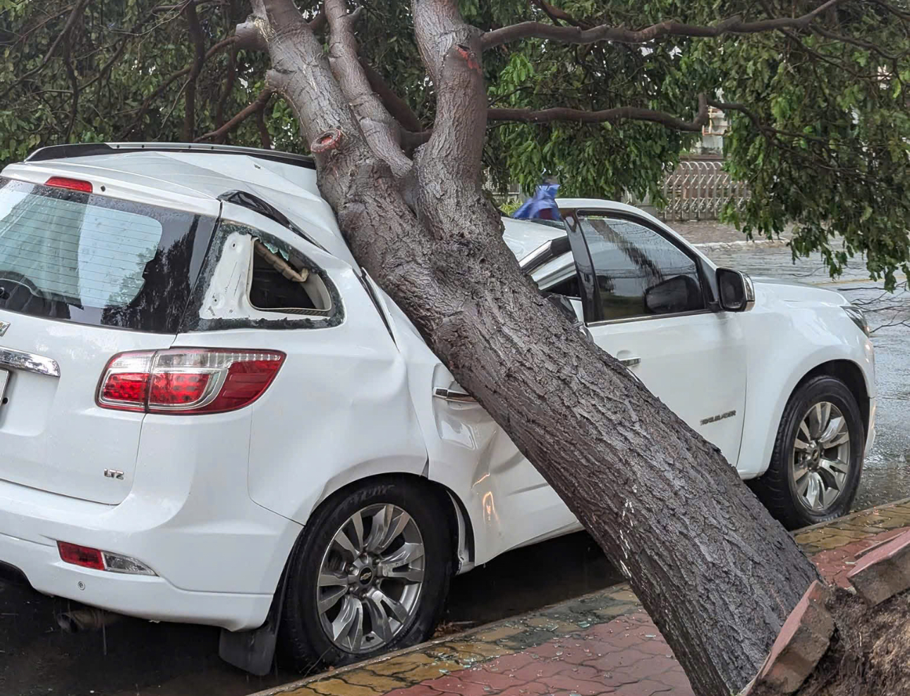 Mưa k&egrave;m d&ocirc;ng lốc khiến c&acirc;y bật gốc đ&egrave; g&acirc;y hư hỏng &ocirc; t&ocirc; đỗ ven đường- Ảnh 1.