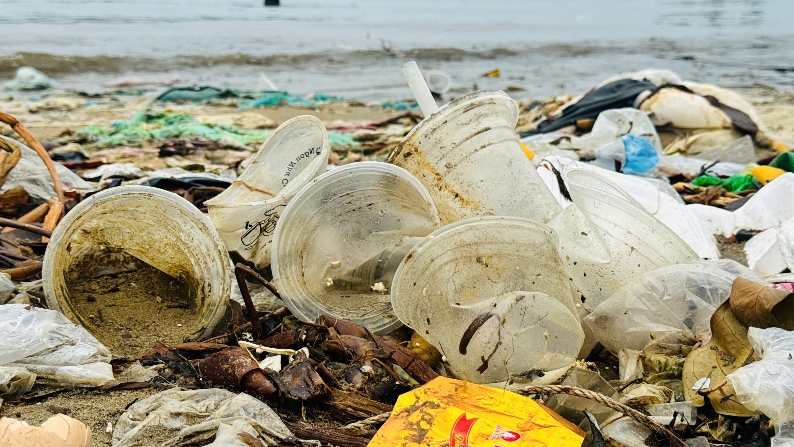 Người d&acirc;n l&agrave;ng biển Quảng Ng&atilde;i bất lực với lượng r&aacute;c ken đặc từ biển tấp v&agrave;o- Ảnh 3.