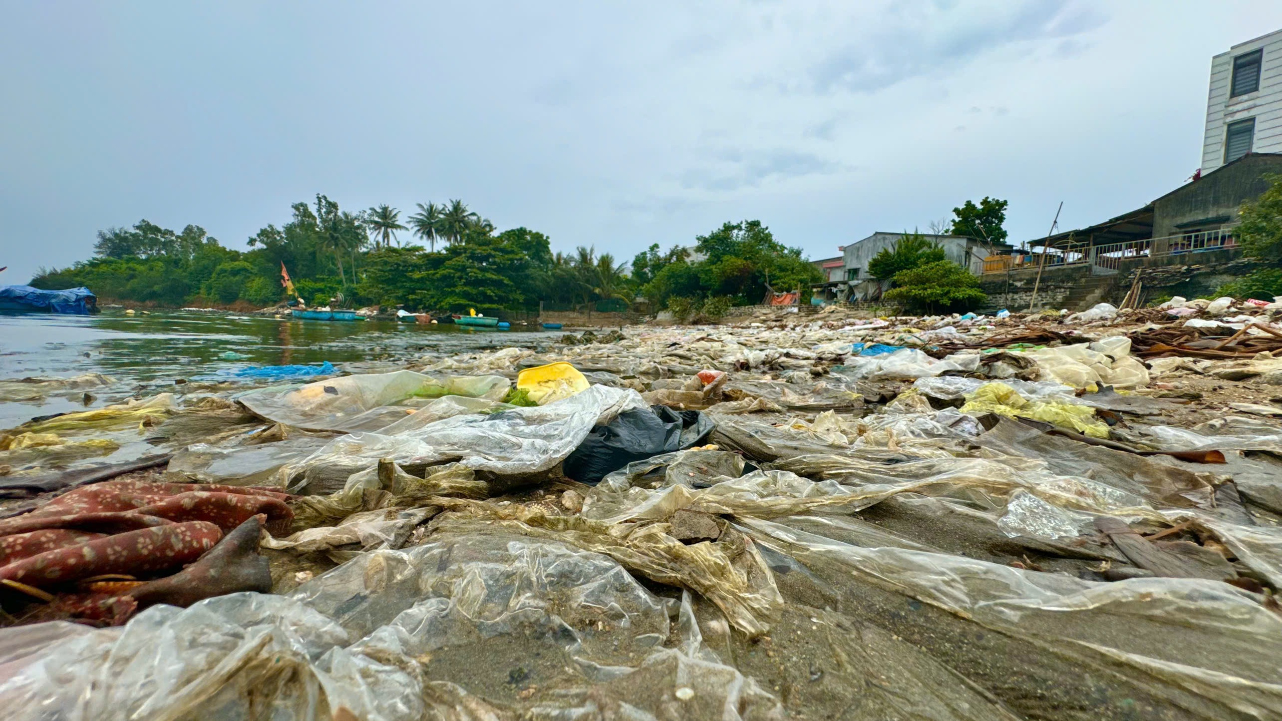 Người d&acirc;n l&agrave;ng biển Quảng Ng&atilde;i bất lực với lượng r&aacute;c ken đặc từ biển tấp v&agrave;o- Ảnh 7.