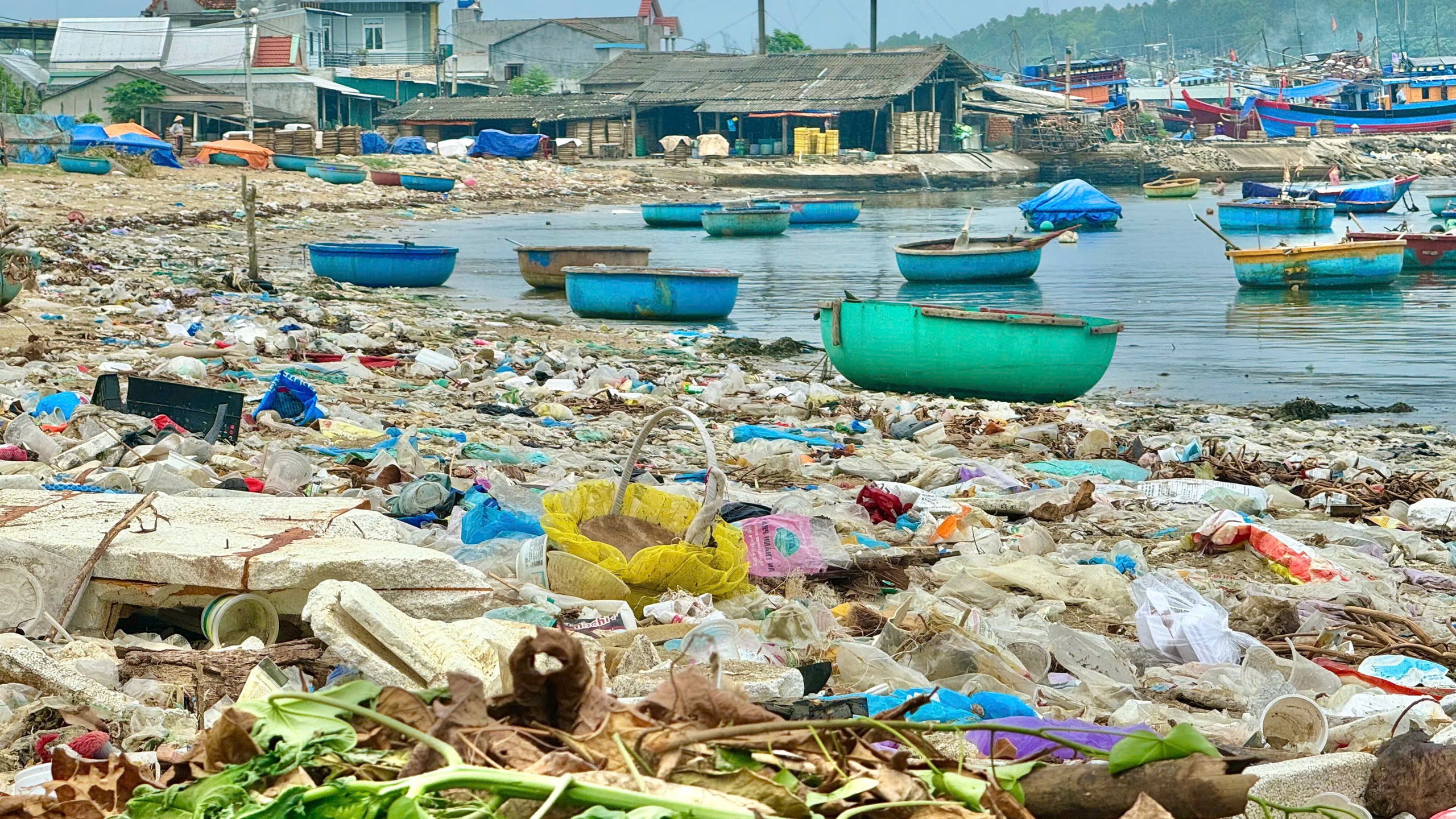 Người d&acirc;n l&agrave;ng biển Quảng Ng&atilde;i bất lực với lượng r&aacute;c ken đặc từ biển tấp v&agrave;o- Ảnh 1.