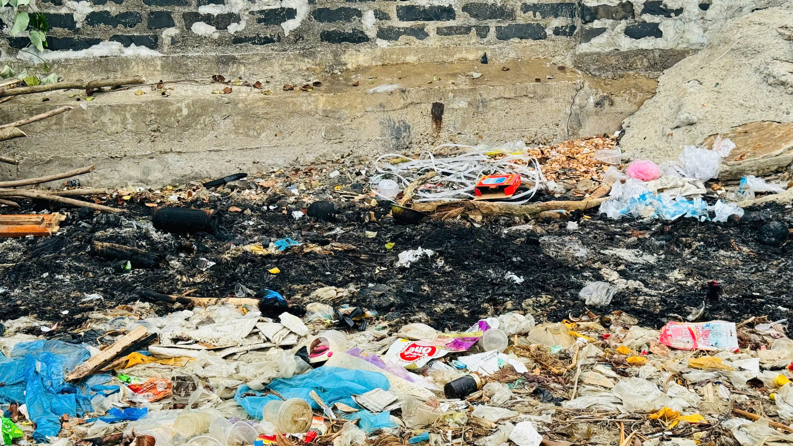 Người d&acirc;n l&agrave;ng biển Quảng Ng&atilde;i bất lực với lượng r&aacute;c ken đặc từ biển tấp v&agrave;o- Ảnh 10.