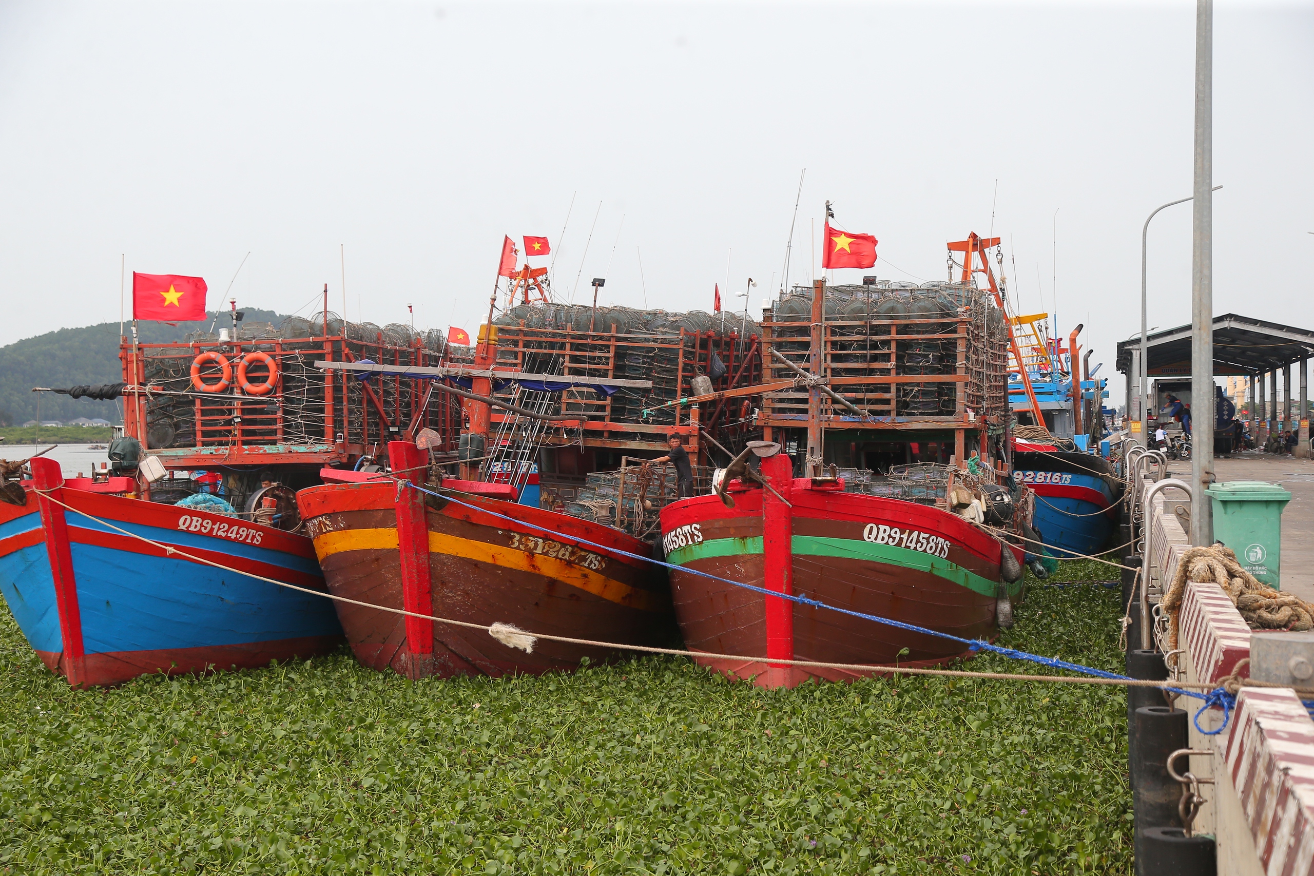 Ngư d&acirc;n Nghệ An chủ động v&agrave;o bờ tr&aacute;nh b&atilde;o- Ảnh 1.